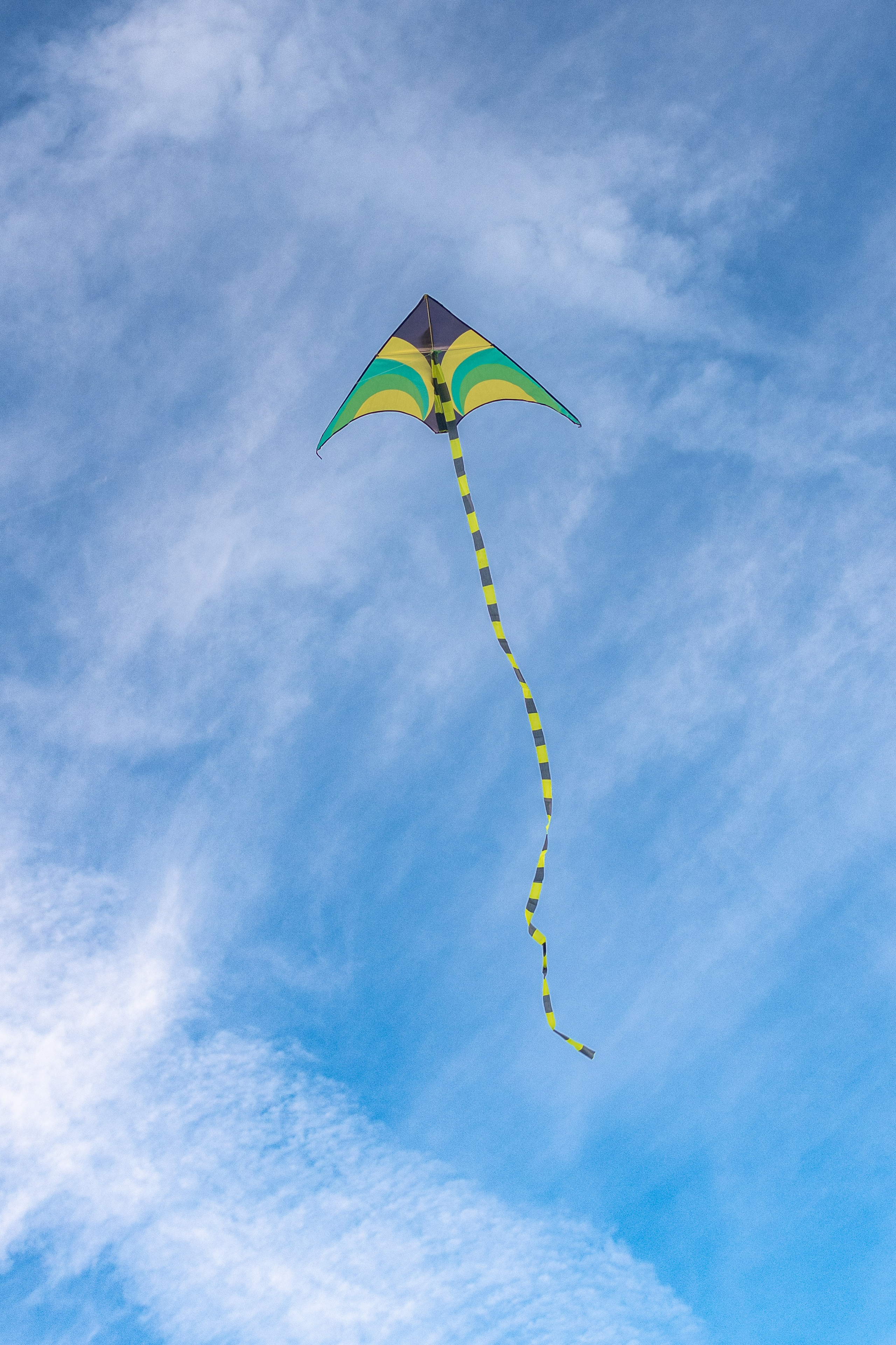 С воздушным змеем. Фотограф в Москве/Зарайске Шахова Марина