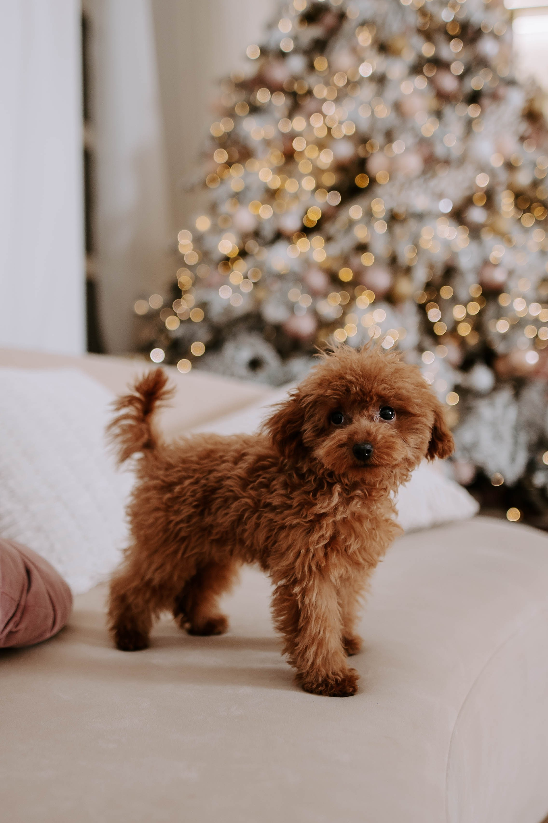 Софья. Фотограф Veronika Potaseva