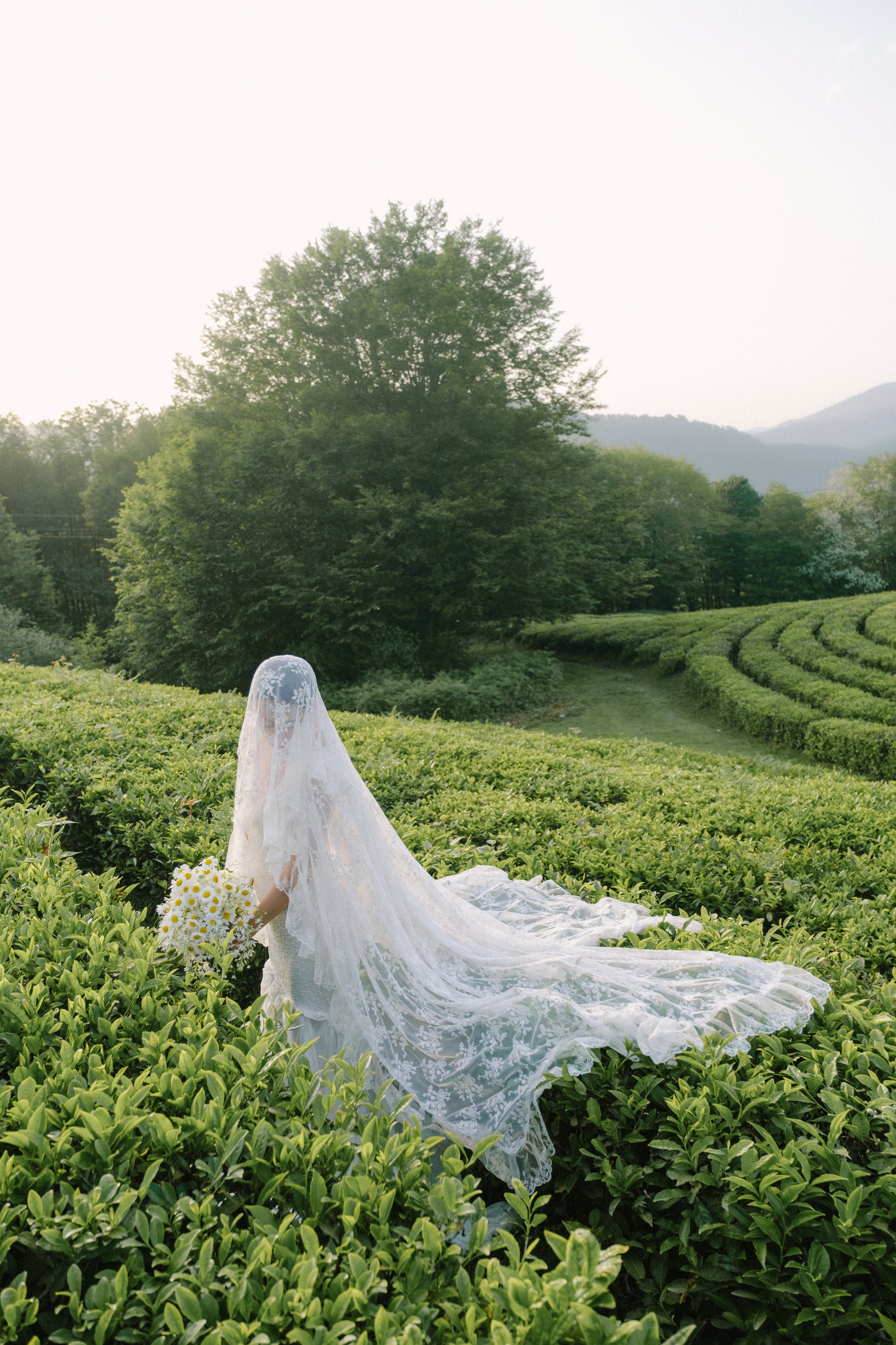 Маленькая Италия. Свадебный Видеограф Фотограф в Сочи