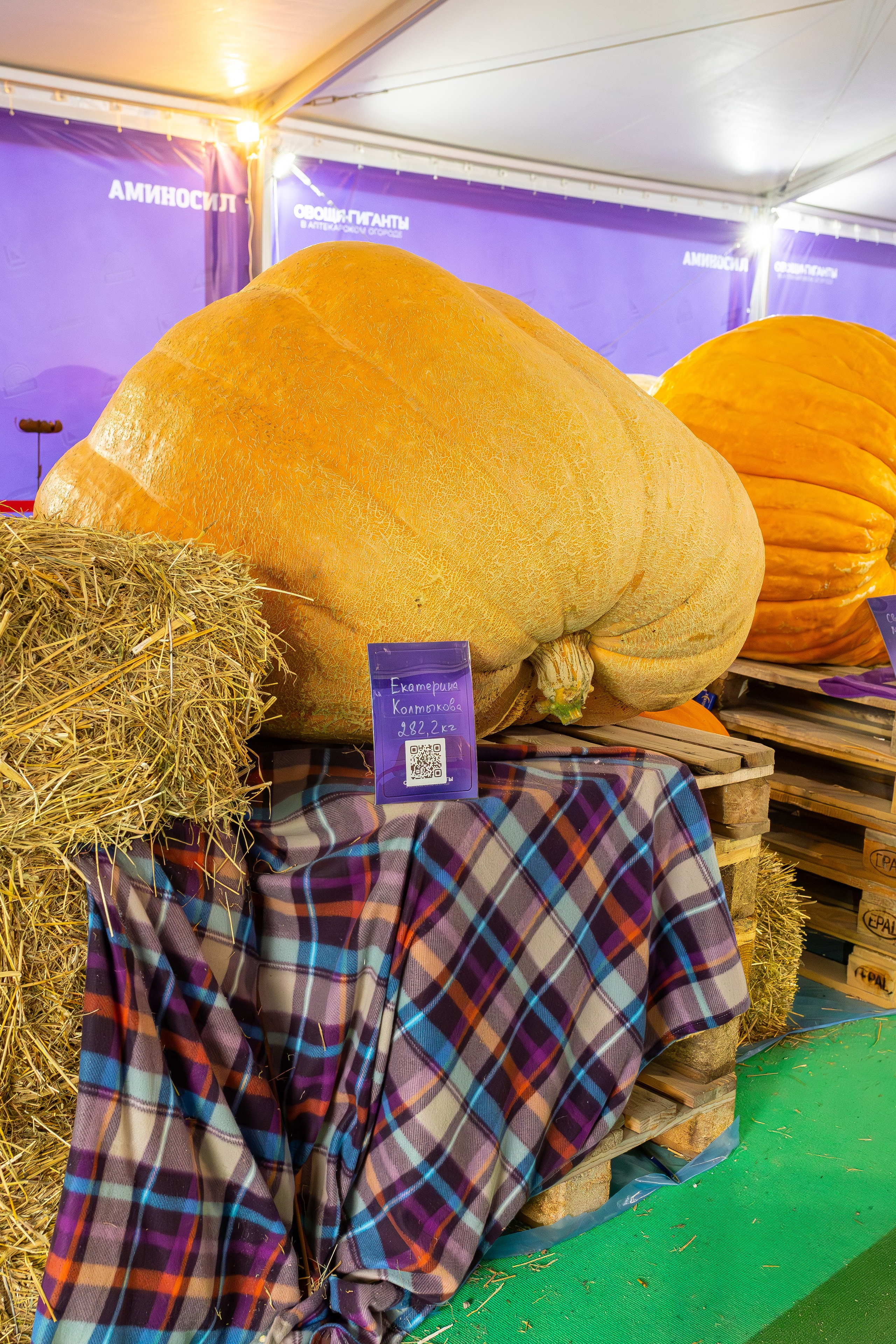 Овощи-гиганты. Александра Куликова фотограф, Москва