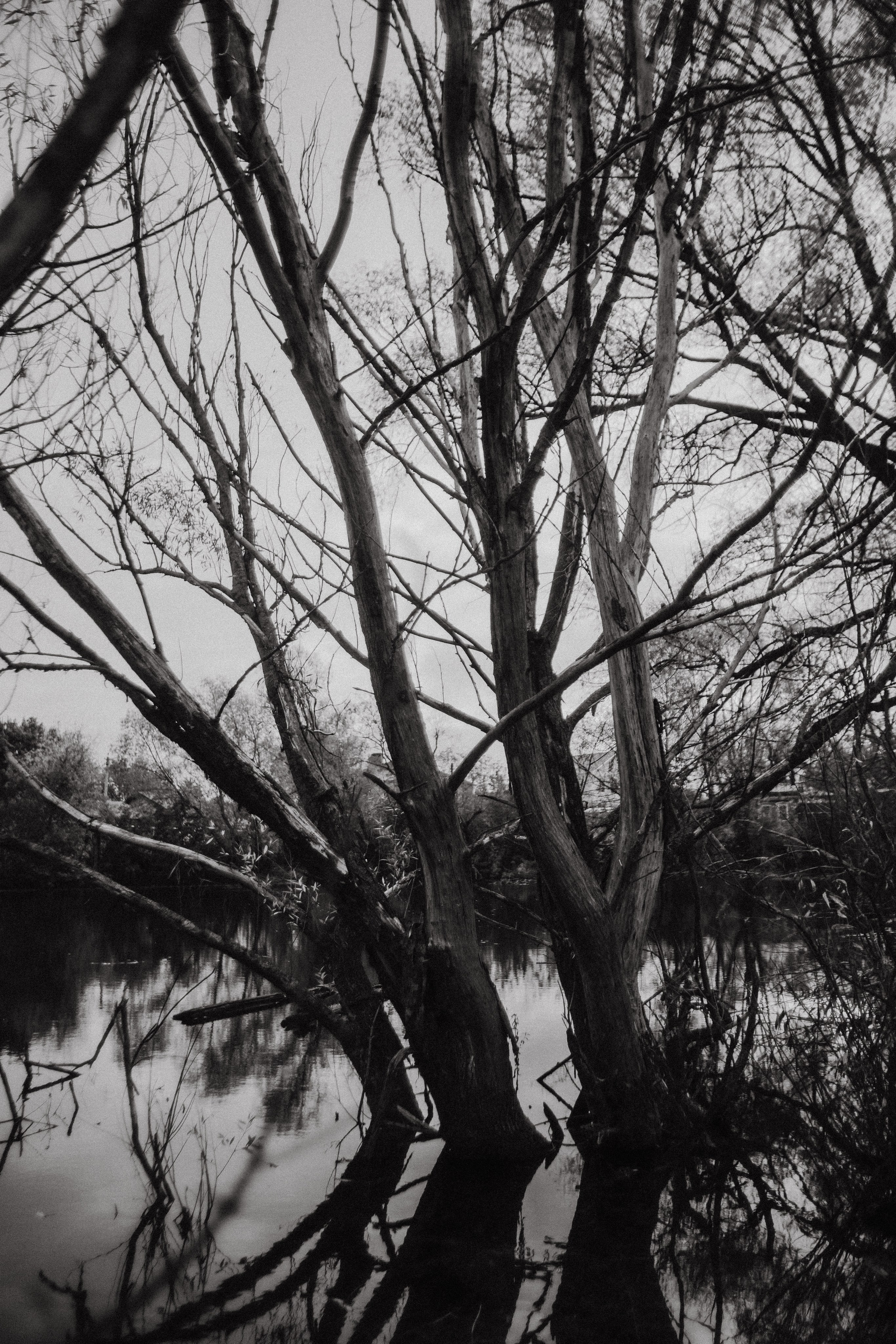 Ариадна. Фотограф в Нижнем Новгороде