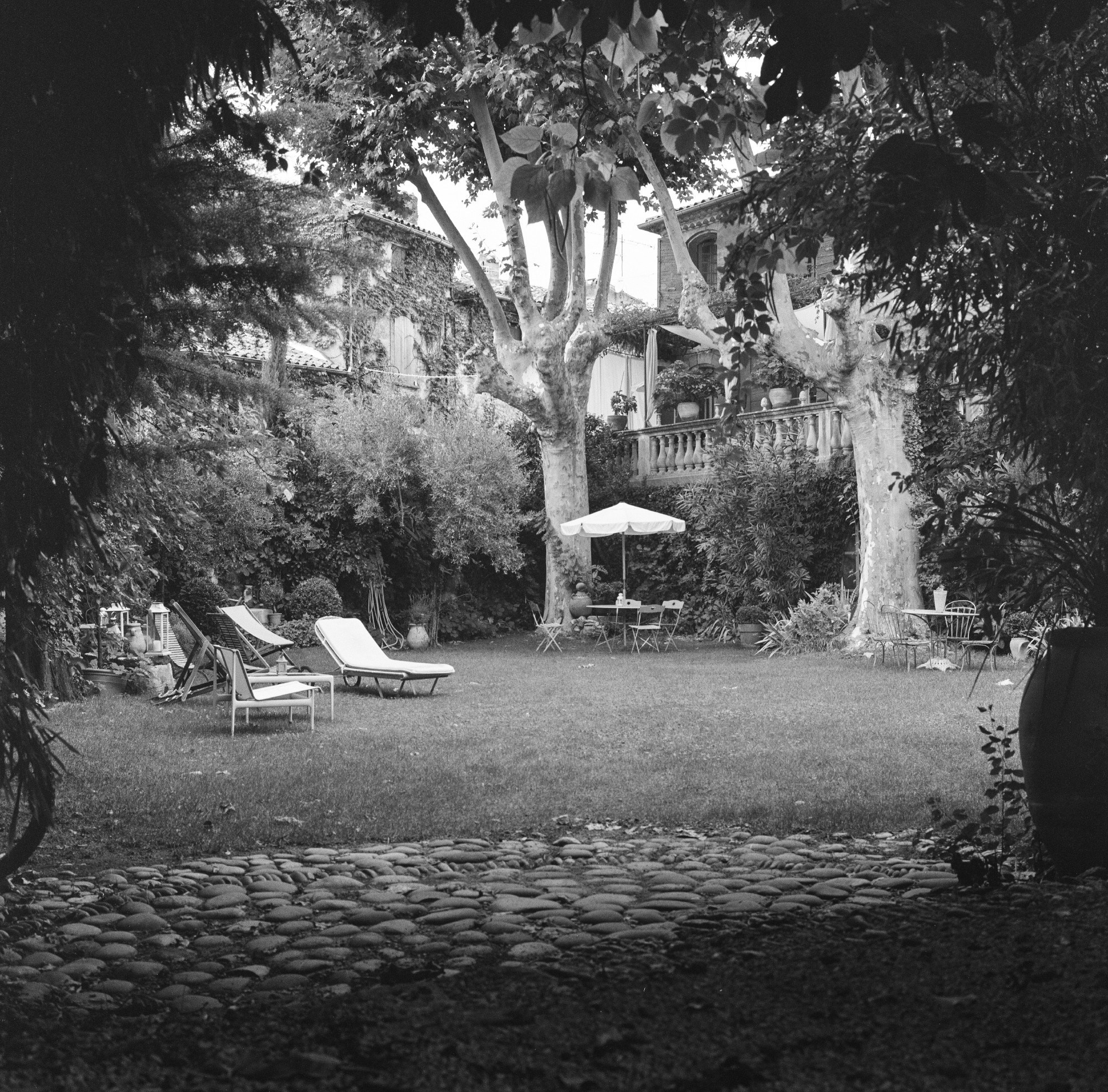 LANDSCAPE. Portrait and business photographer in Moscow Andrey Nikolsky