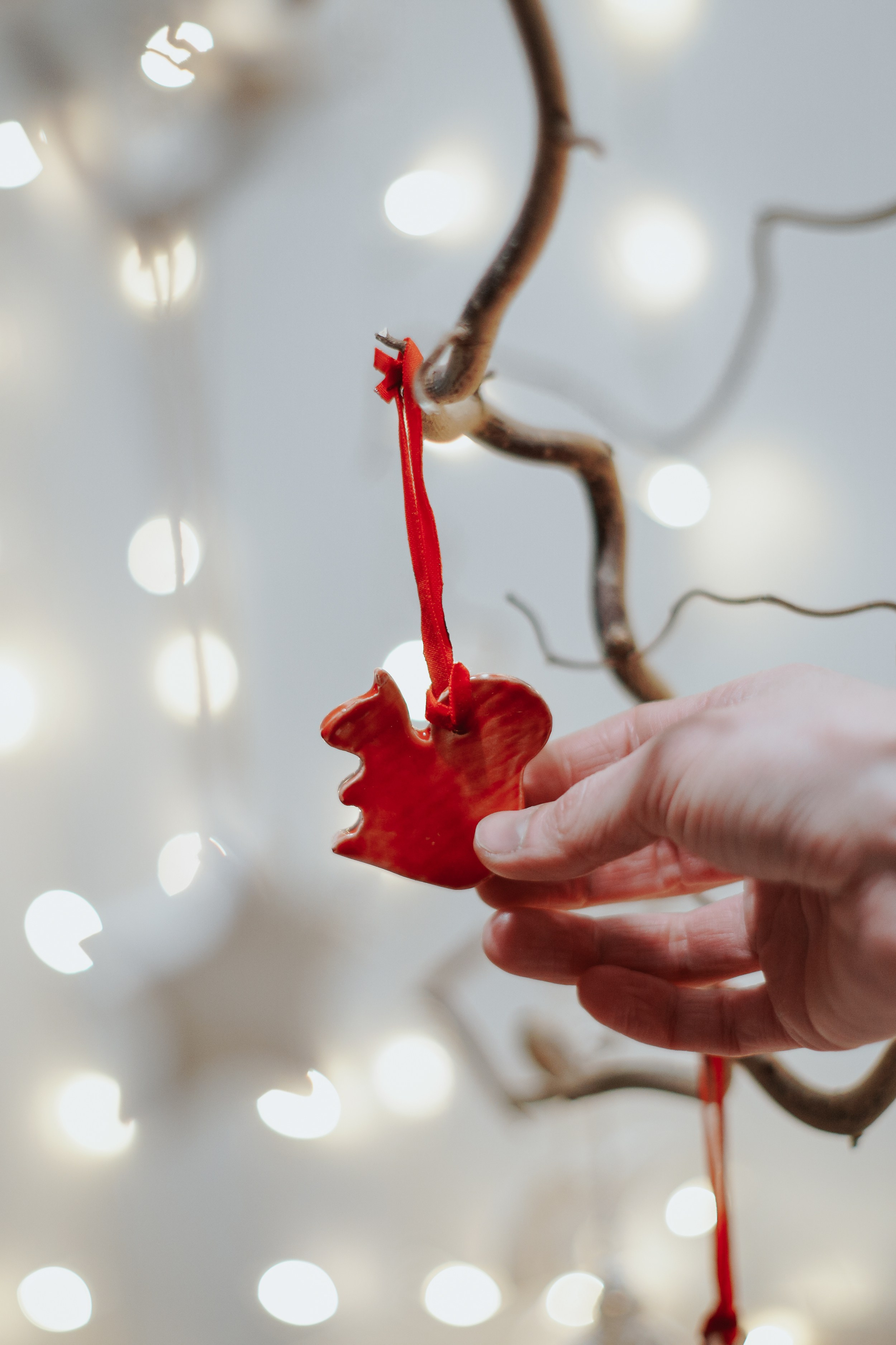 Магазин NOOK. Катя Кудринская. Фотограф на мероприятие СПб. Семейный фотограф