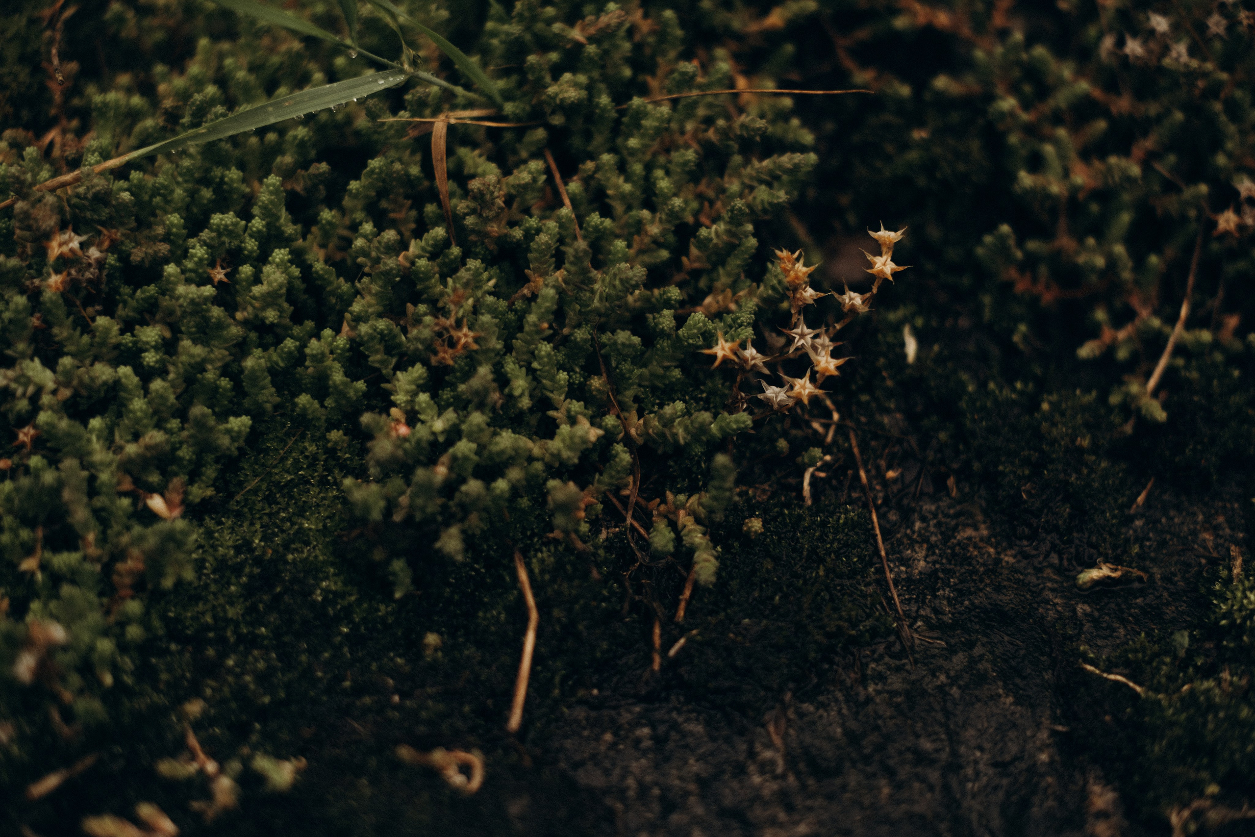 Съемка для брендов. Фотограф в Москве (готова приехать к вам в город)