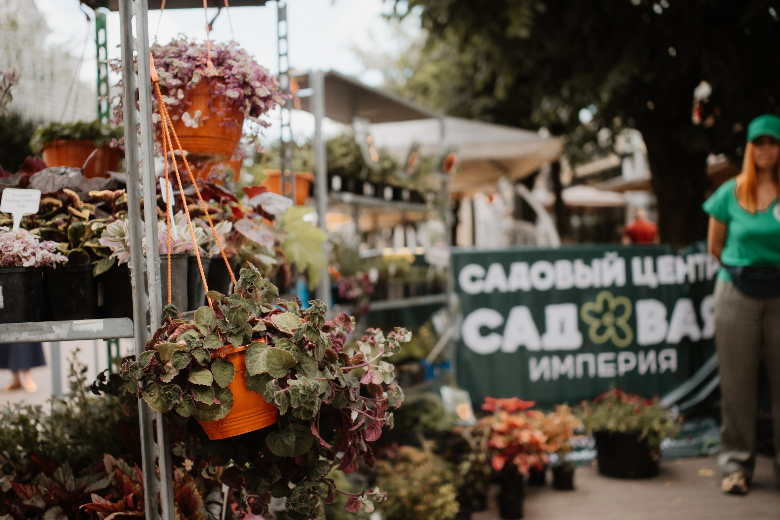 Фестивали — Смоленск 26.07.2025. KiPPER Gallery — Фотограф