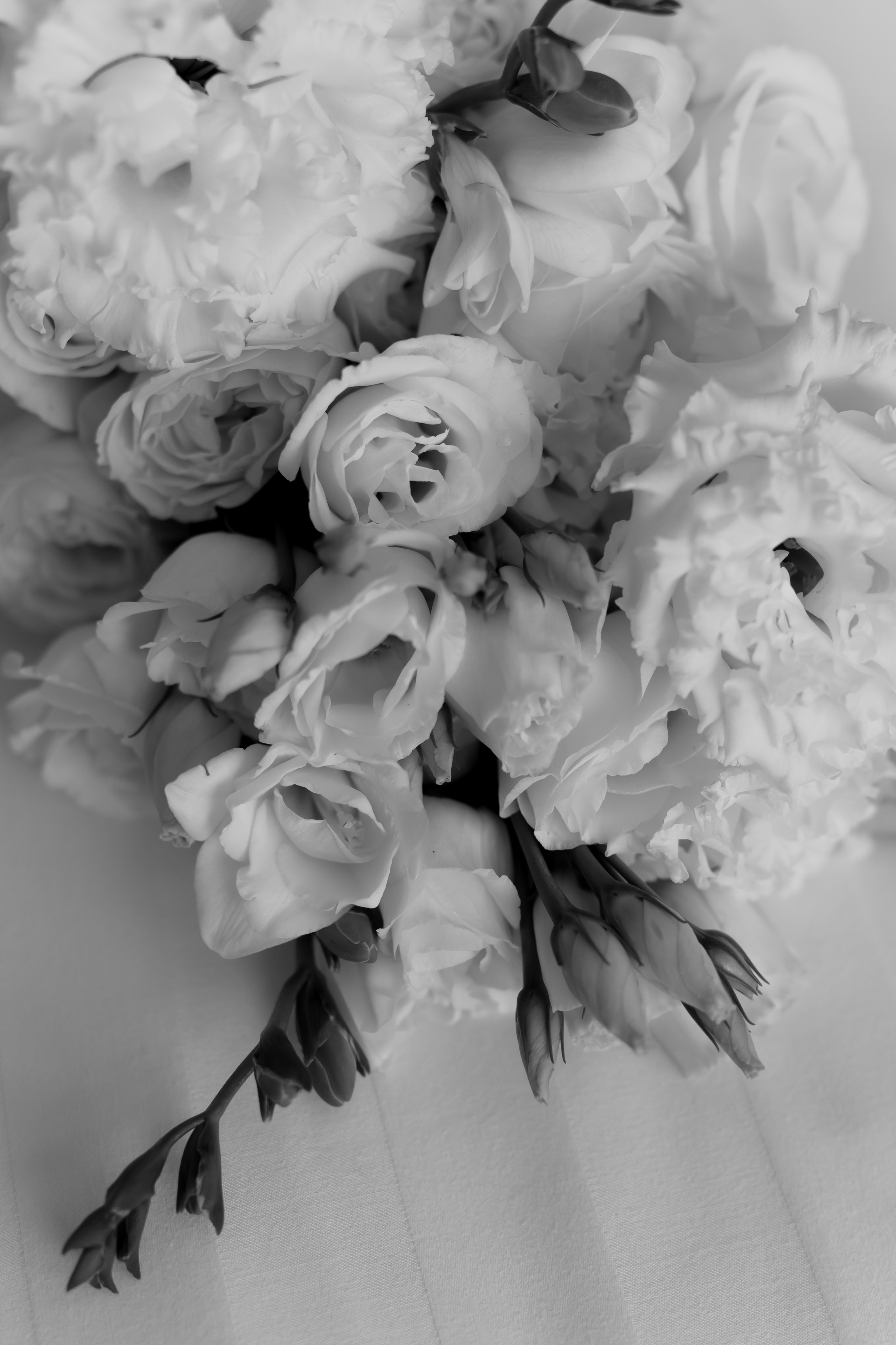 Свадьба Кирилла и Анастасии. Фотограф Кольчугино/Владимир/Москва Елизавета Иода