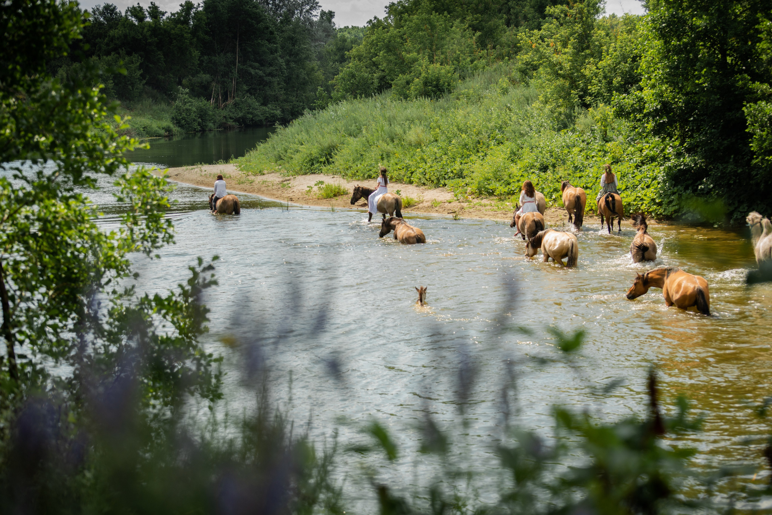 Купала в Родославном. Конный фотограф в Саратове Юлия Иванова