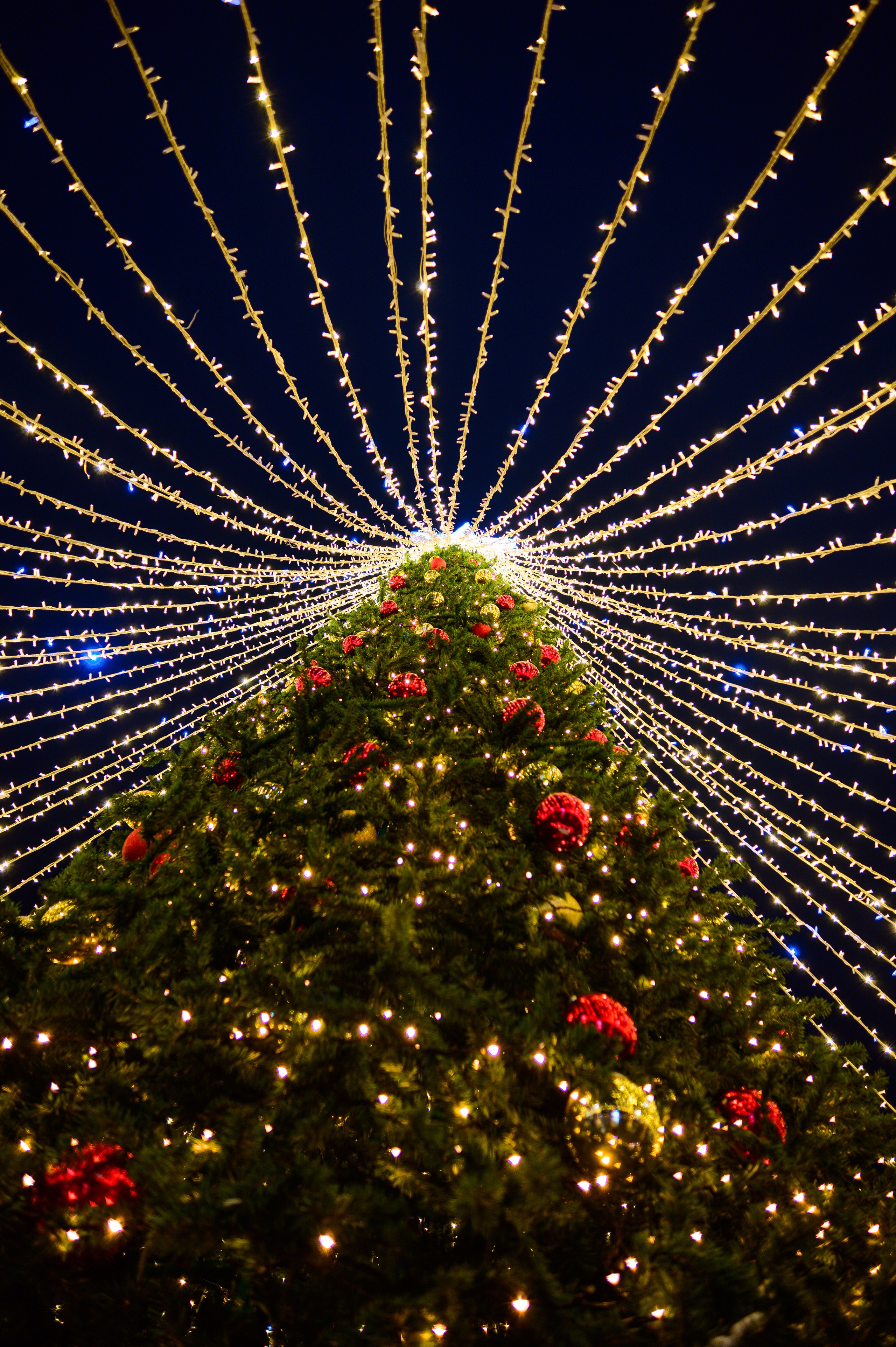 Зимняя Калининградская область. Фотосъемка и видеосъемка в Калининграде Liveemotion.pro