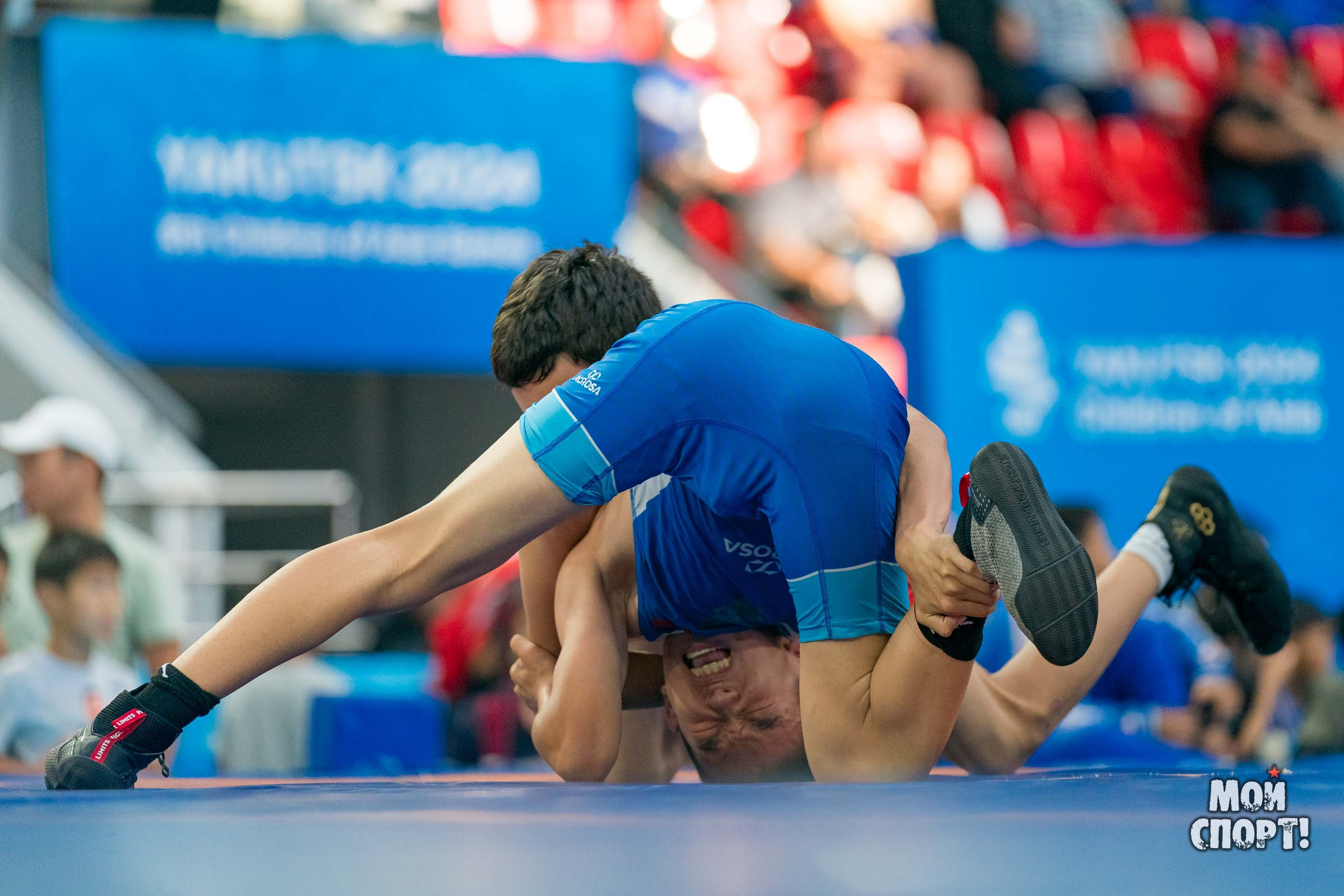 Соревнования по вольной борьбе в честь П. П. Пинигина. Студия «Мой Спорт!» — все о спорте в Якутии