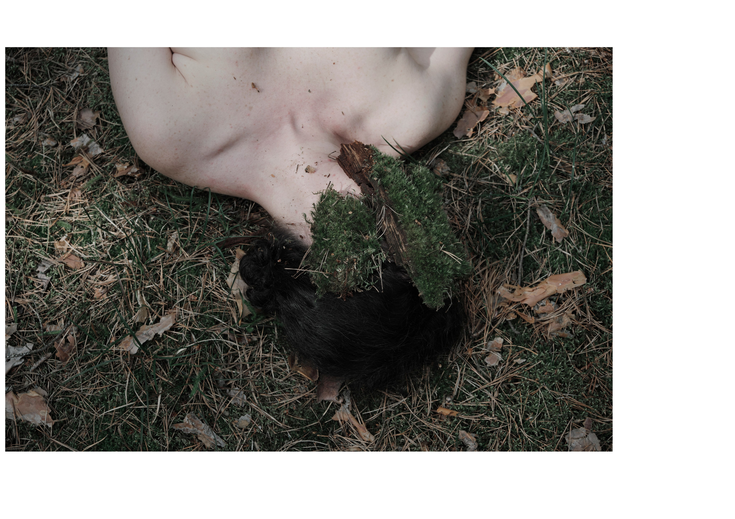 Я приношу к себе лес я себя приношу в лес. Алиса Косарева