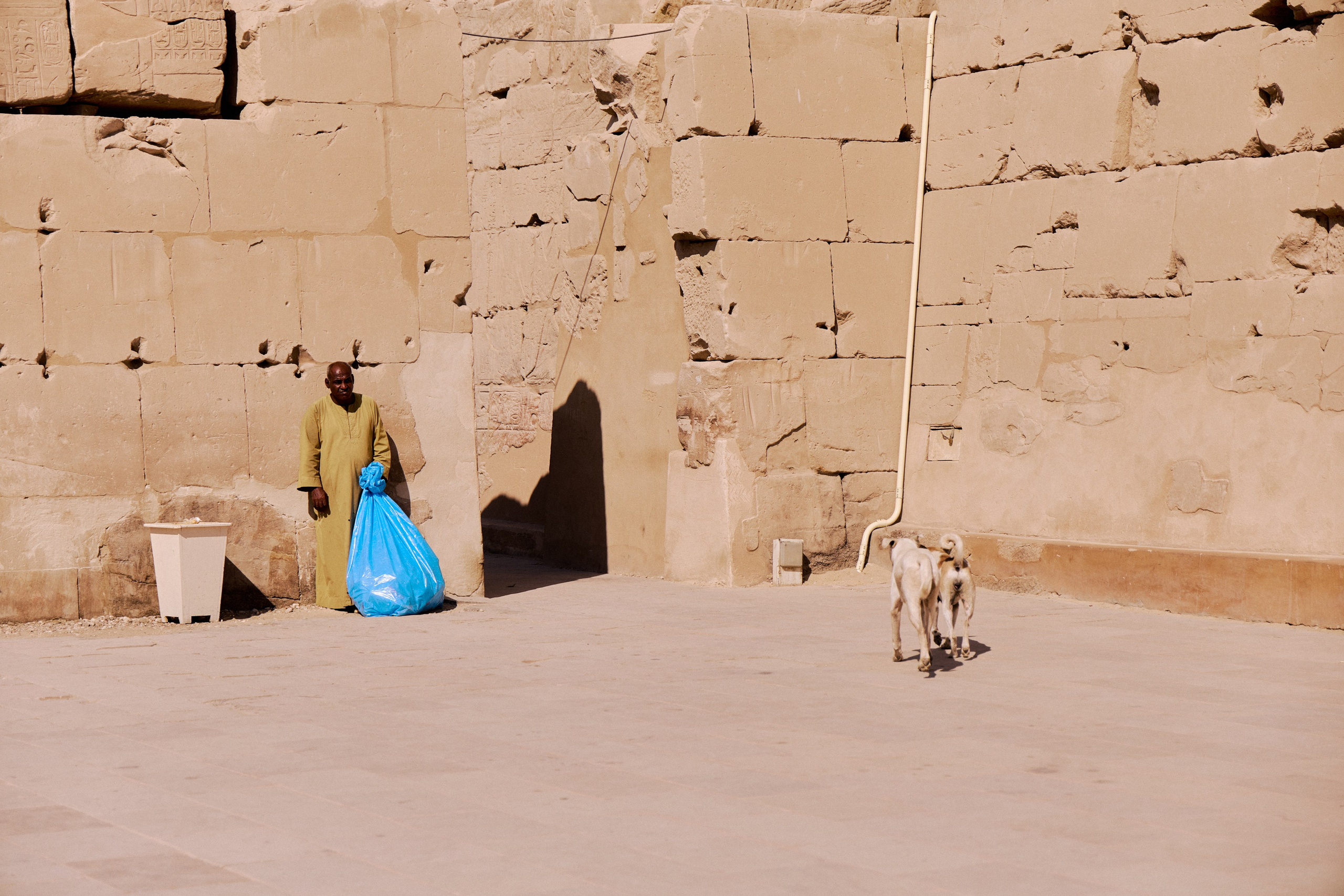 Другое 4. Jorgis — фотограф в Хургаде / обучение фотографии