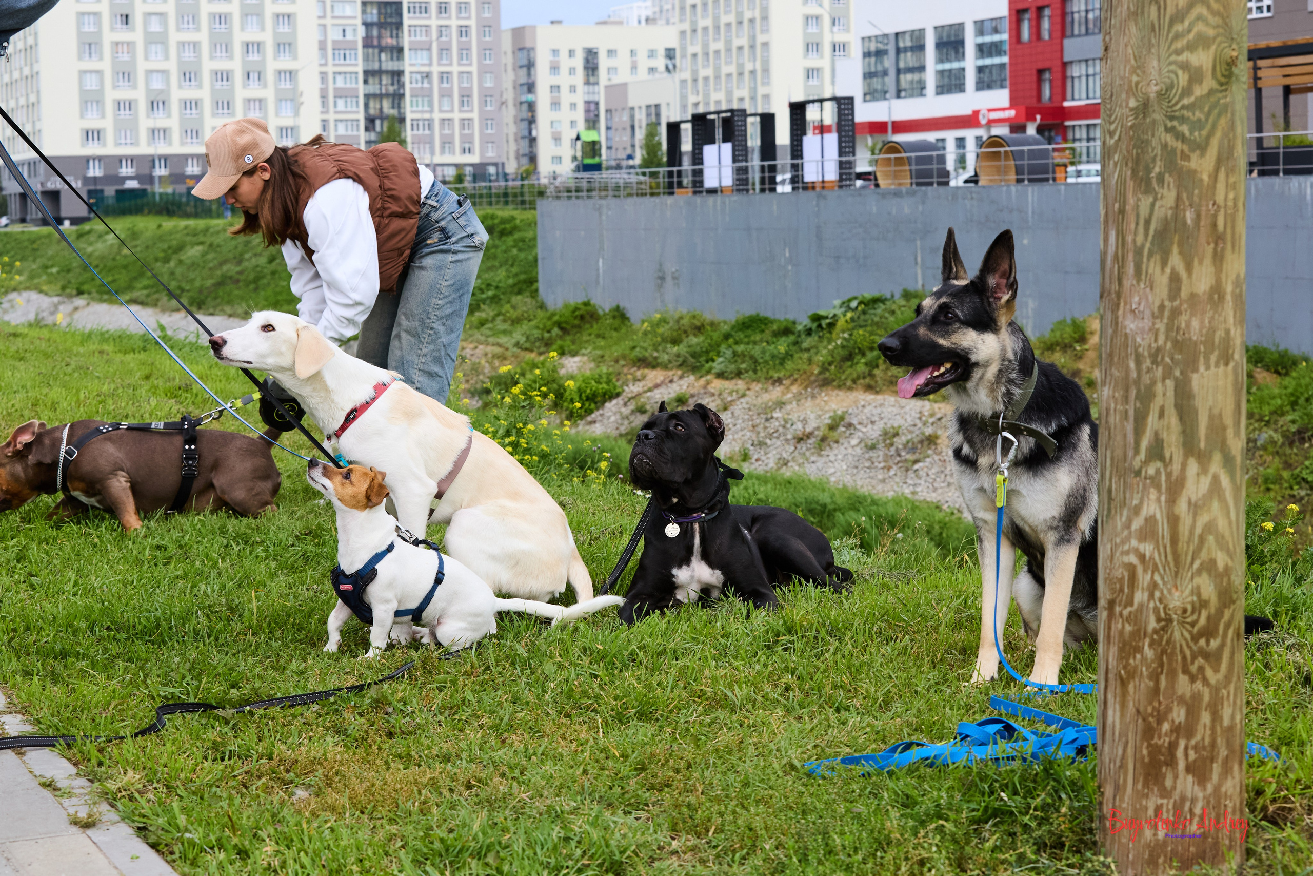 Проект фотопрогулка с хвостиком. Buyvolenko Andrey