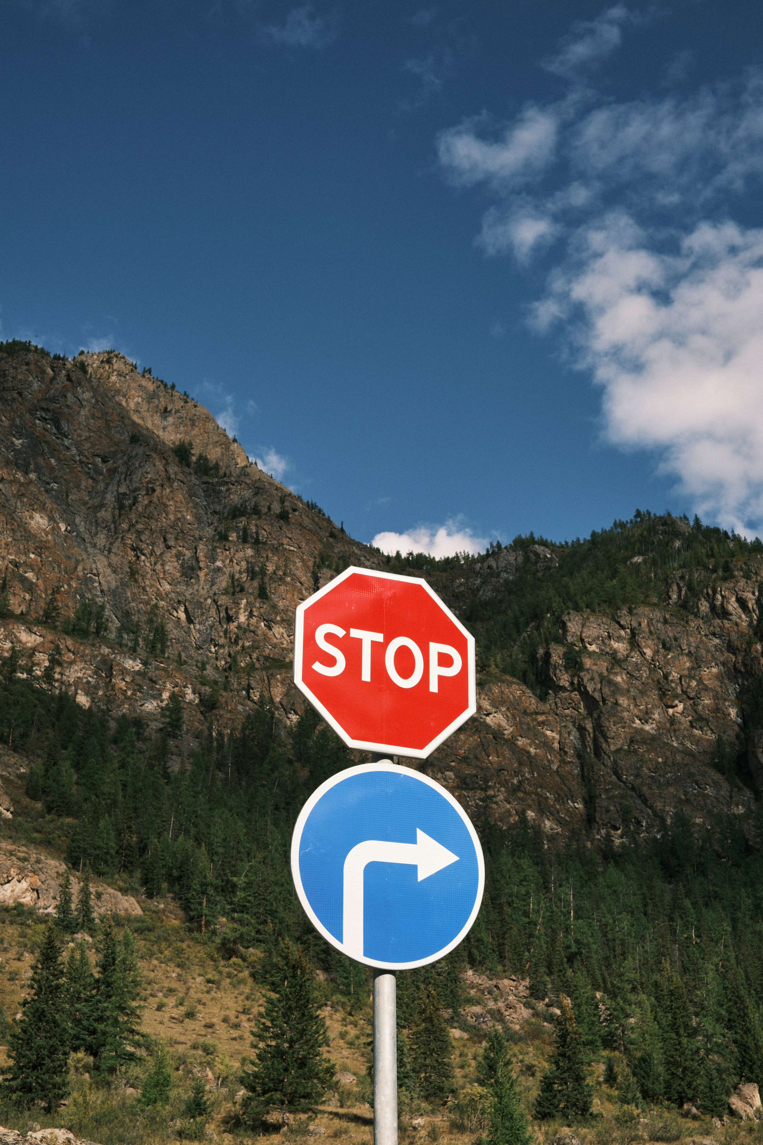 Природа. Антон Ив