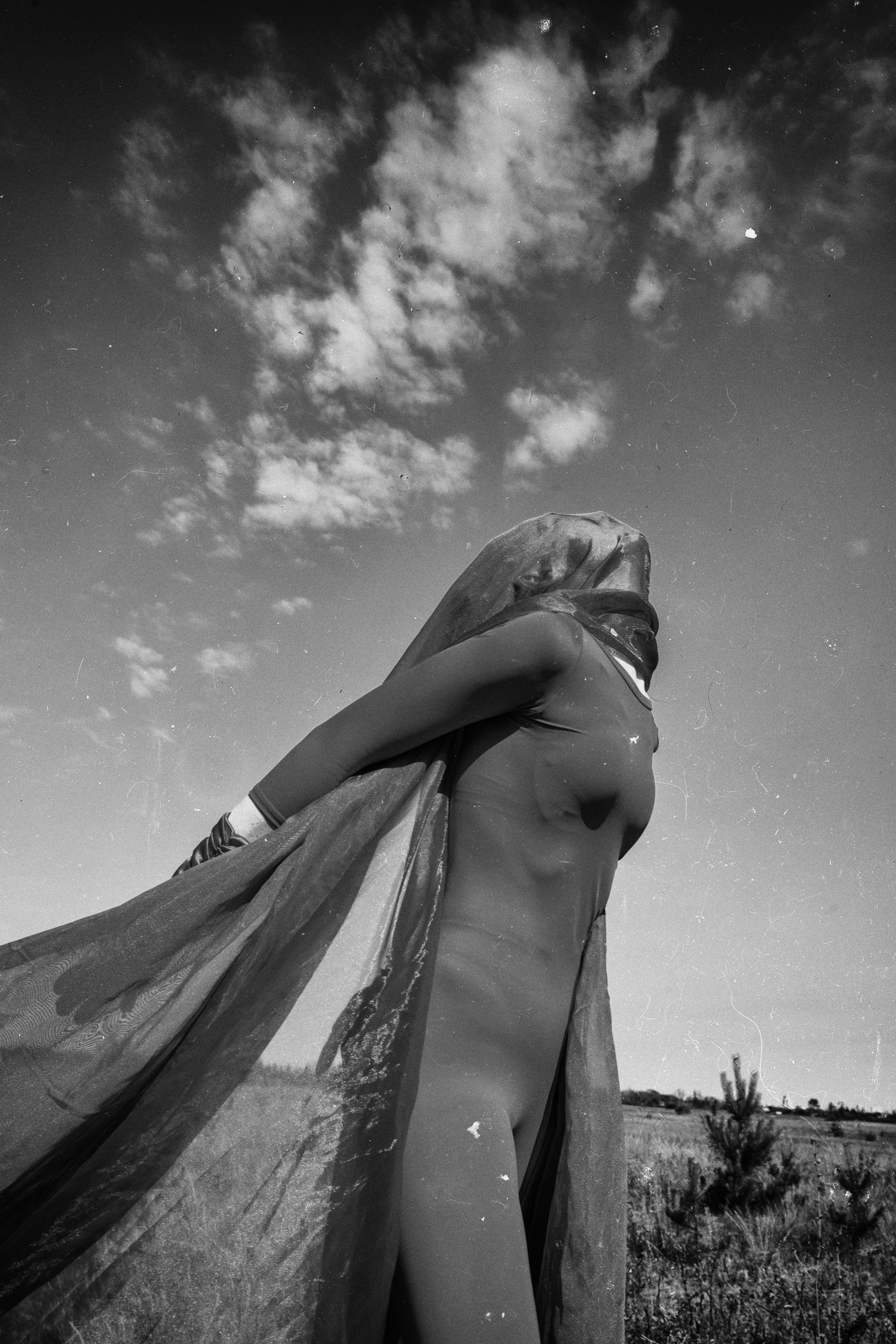 TERRA NOSTRA. Yulia Yurchevskaya | Art Director & Visual Visionary