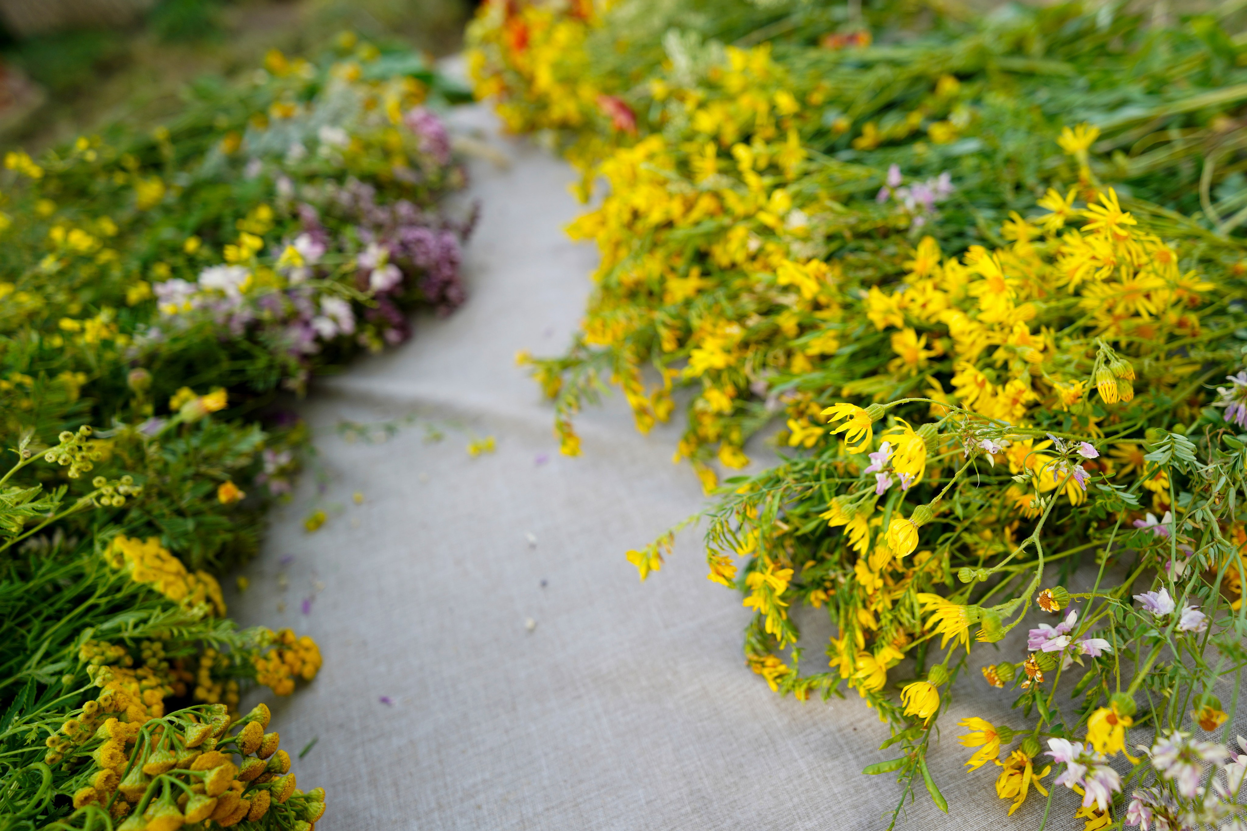 День любви, семьи и верности в  ресторане Vero Gusto. Фотограф в РФ и ЛНР Юлия Федосеева