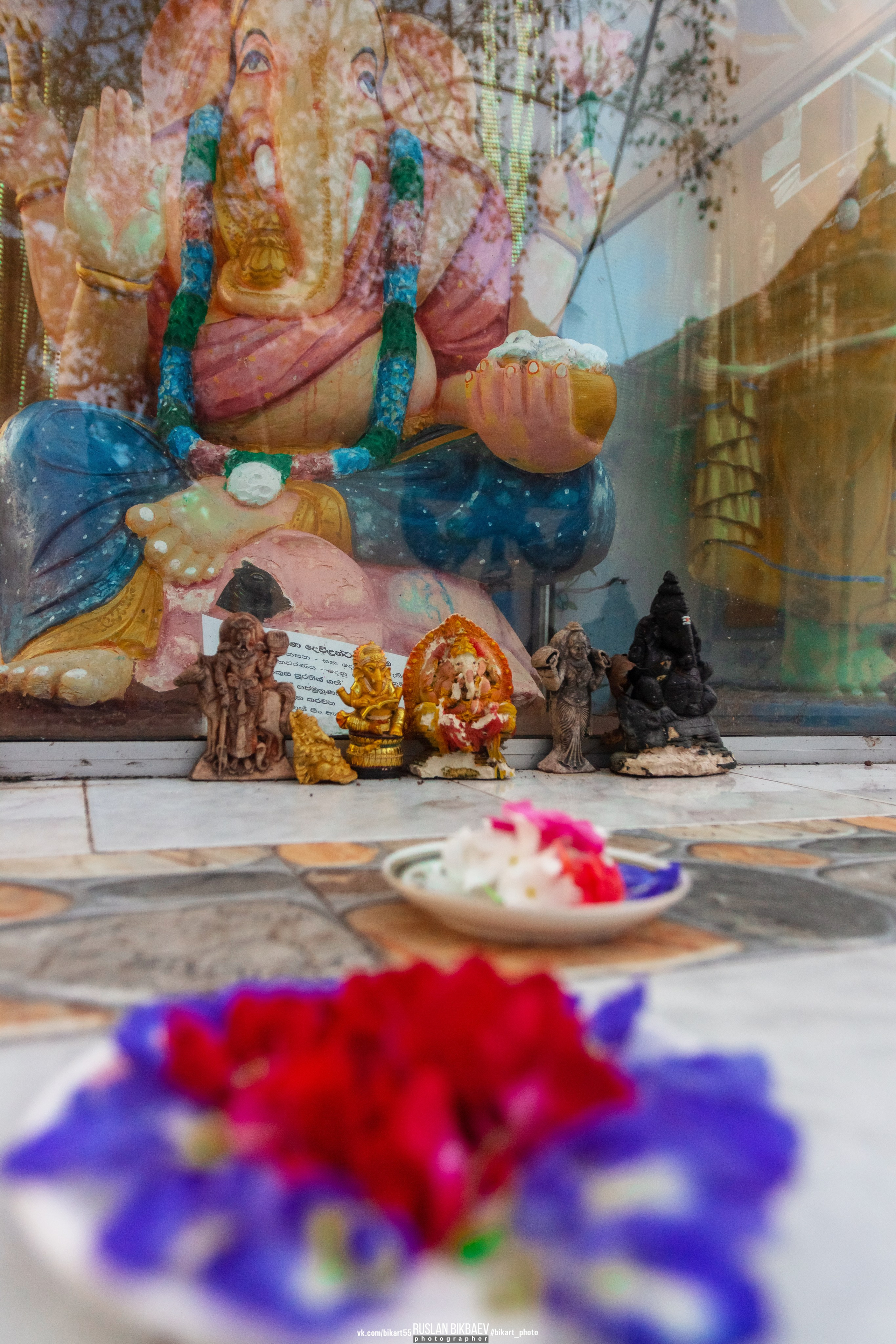 ШРИ-ЛАНКА 2025 / SRI LANKA 2025. Главная