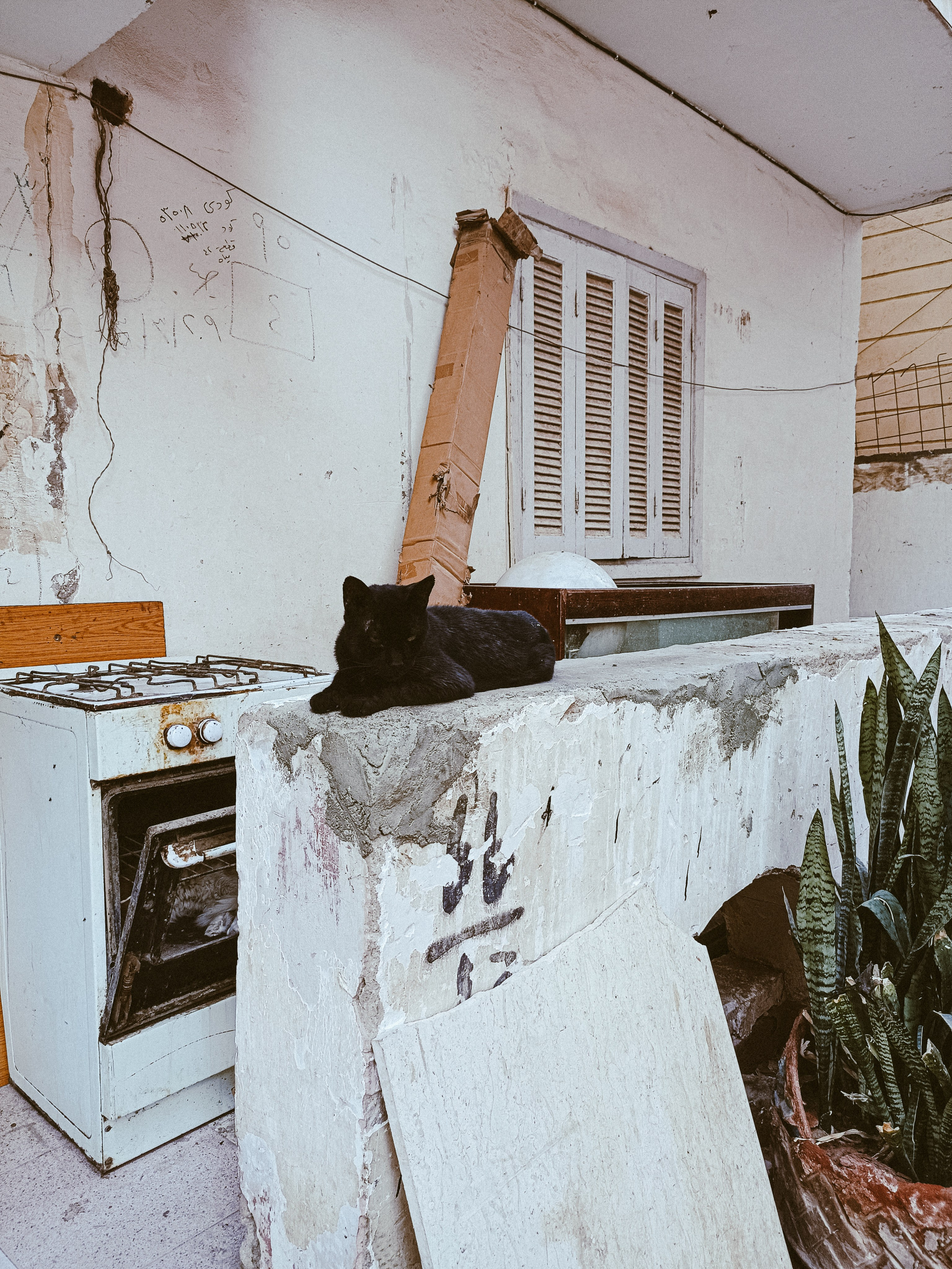 Мобильная. Jorgis — фотограф в Хургаде / обучение фотографии