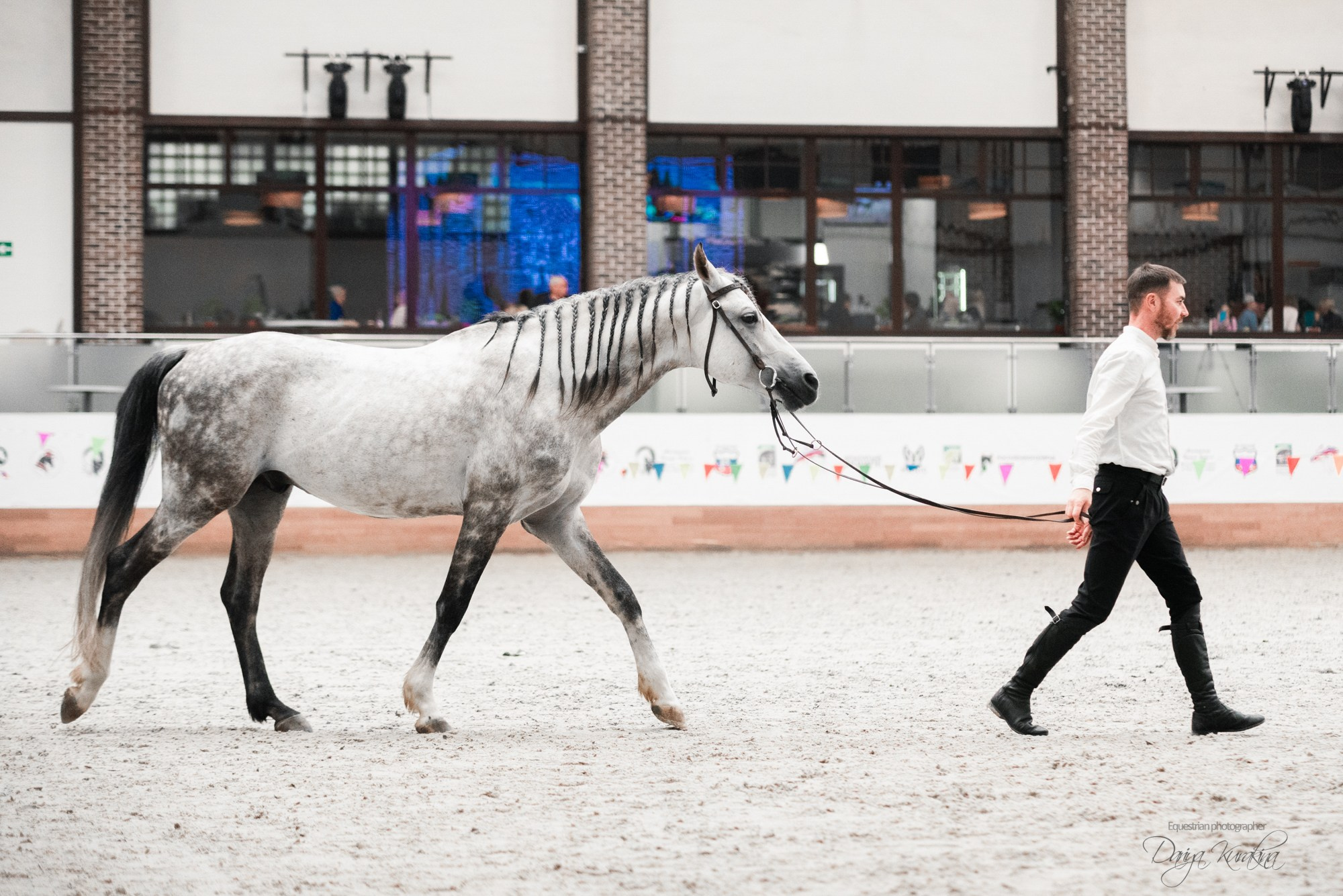 8-я международная выставка Конная Россия. Конный фотограф Куракина Дарья • Фотосессии с лошадьми