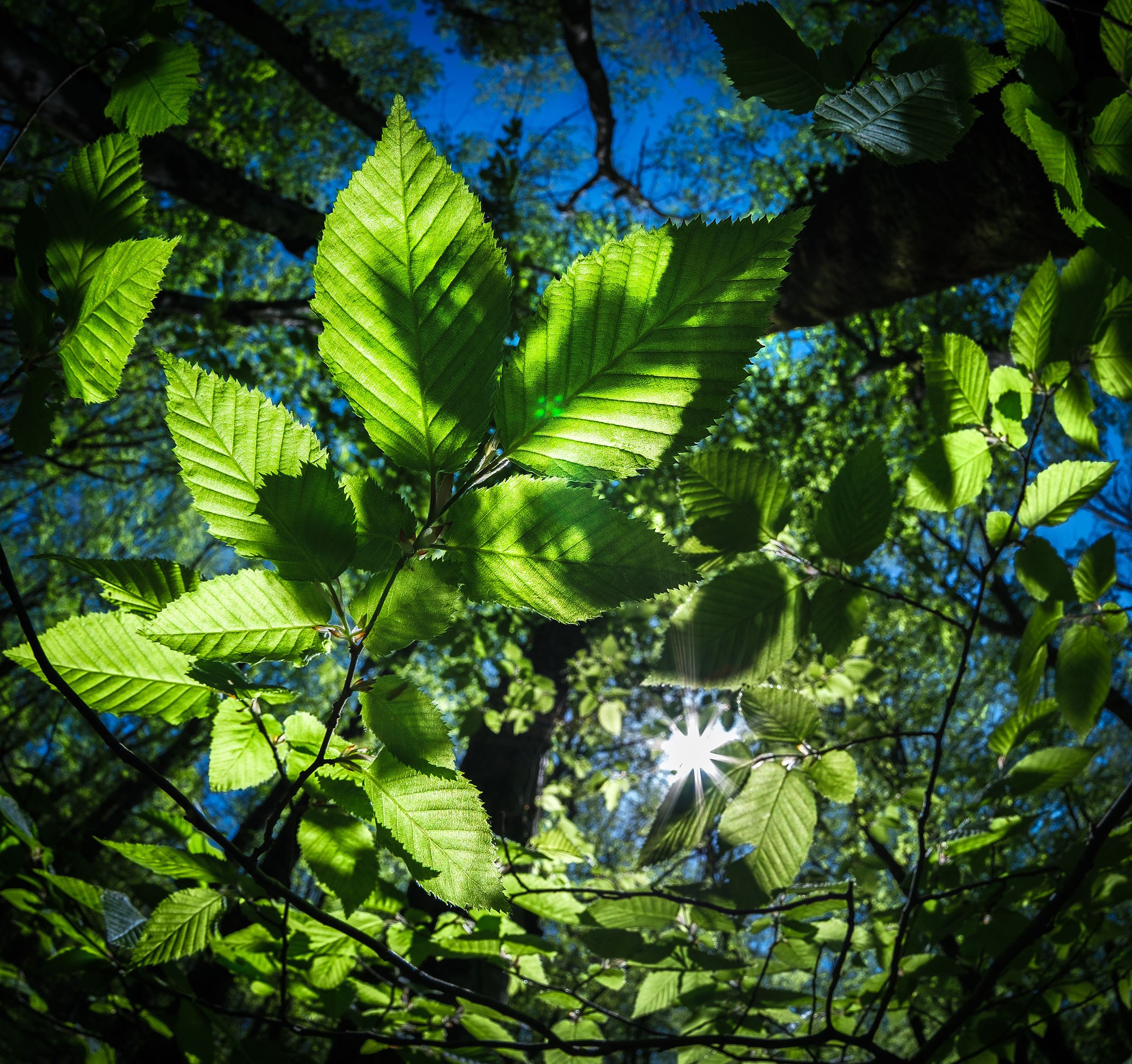 Свадебный фотограф в Геленджике