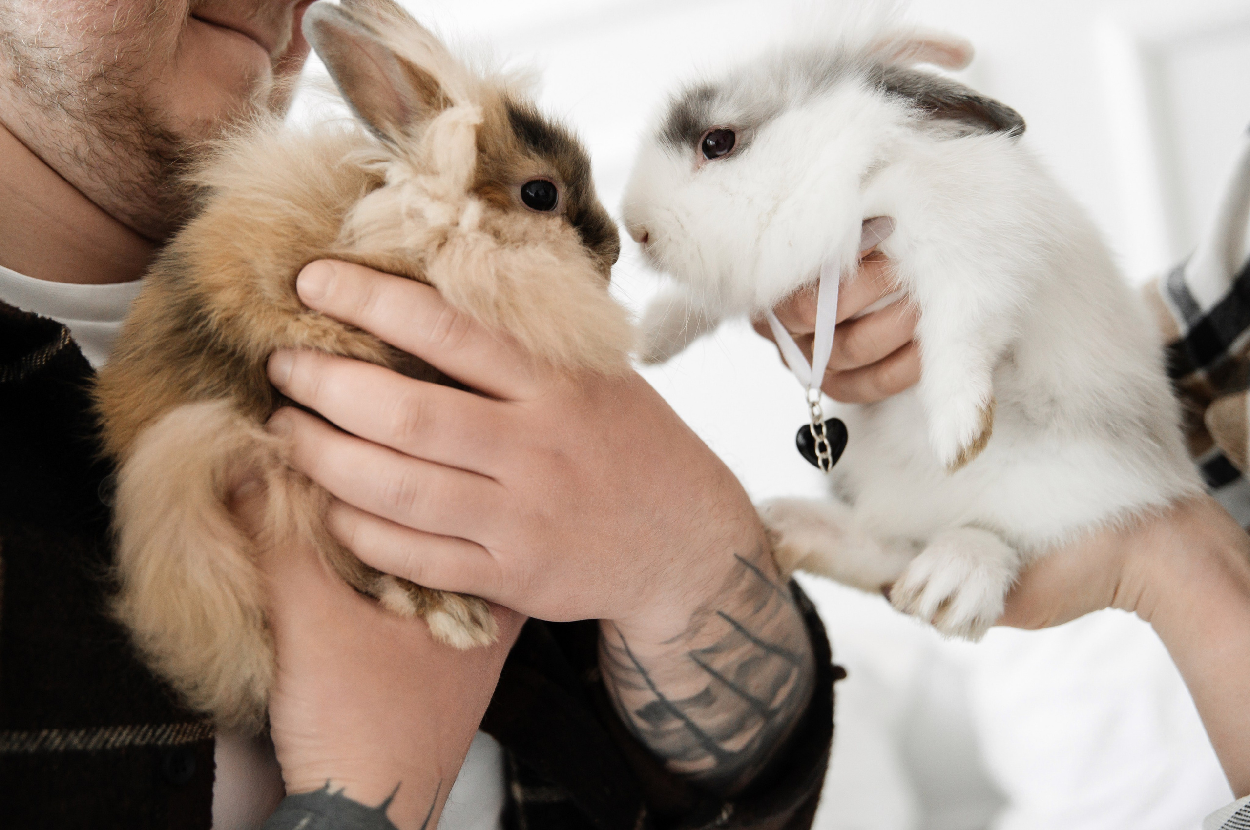 I&V. Фотограф Кирилл Верт