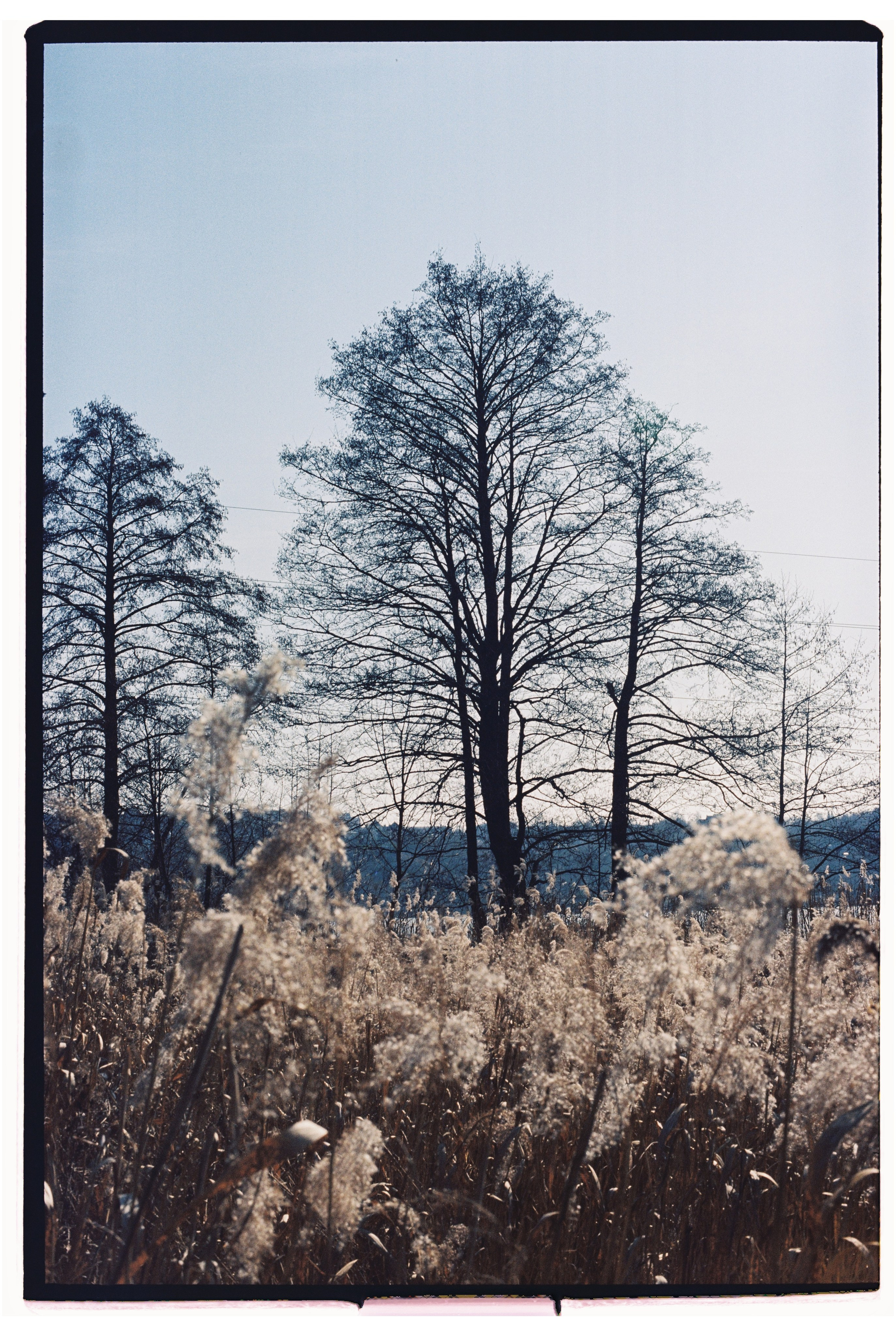 KALUGA. ANNA — PHOTOGRAPHER