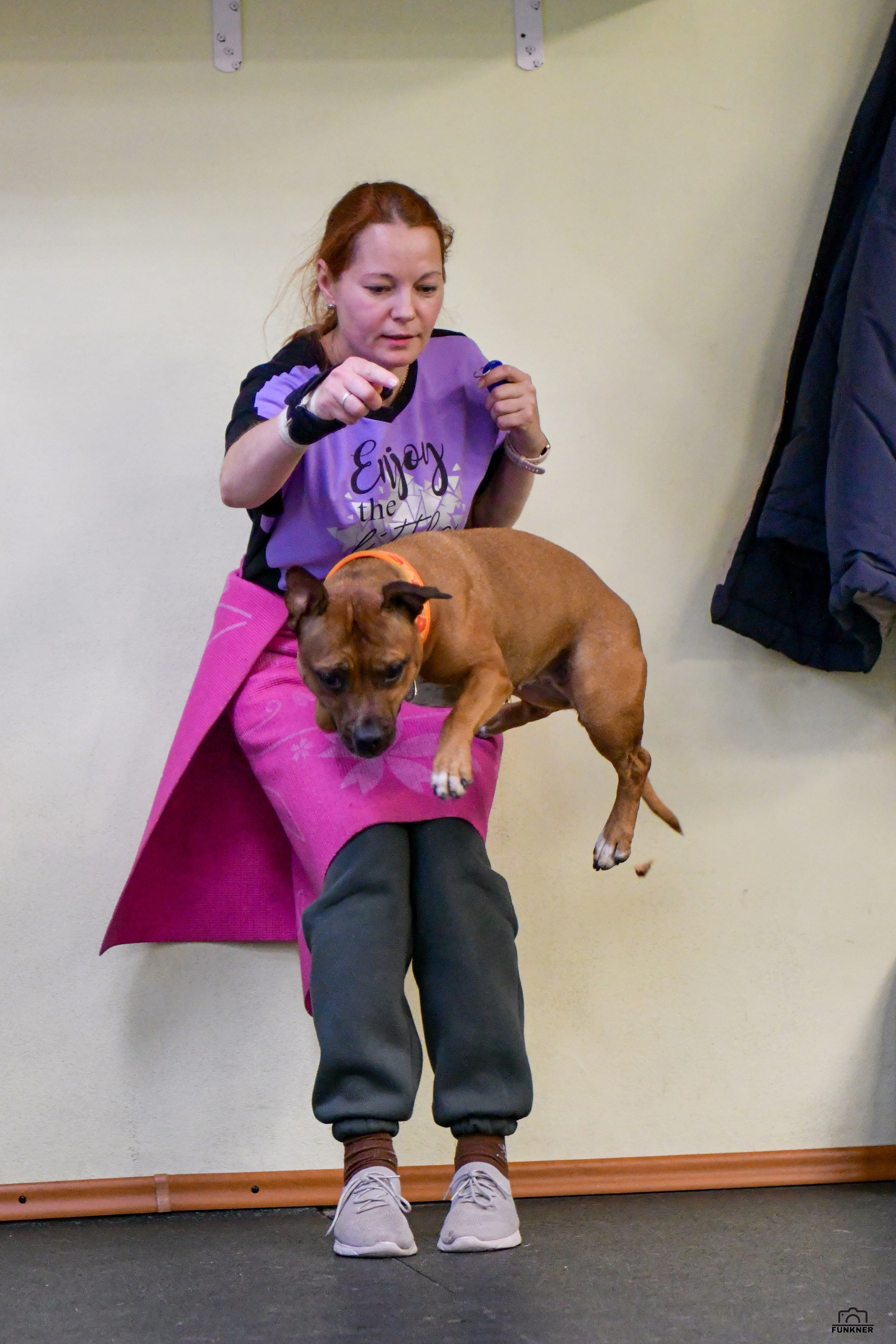 Кинологический клуб «Бодрый хвост». Свой взгляд через объектив