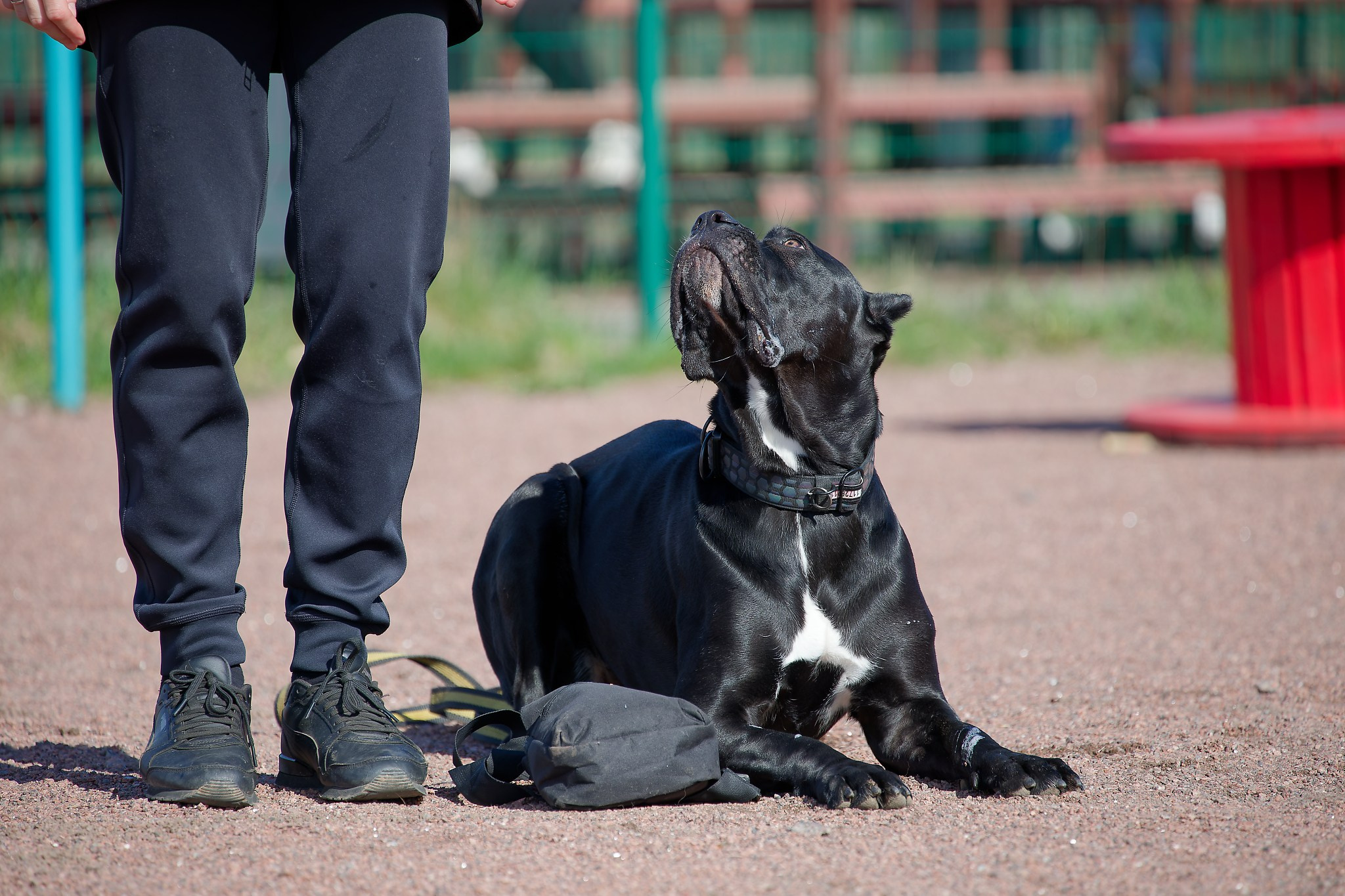 Турнир «Место». Irenephoto.ru