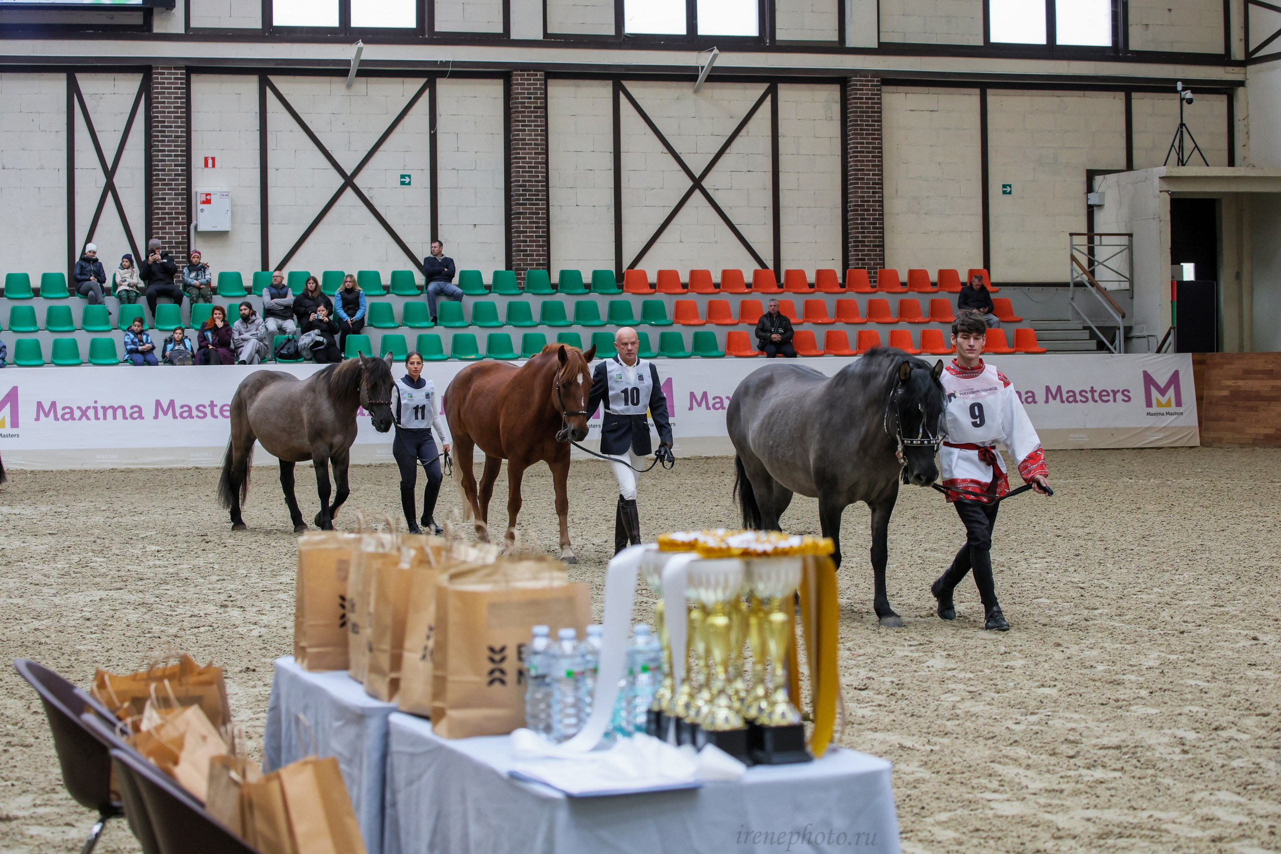 Конная Россия 2024. Irenephoto.ru