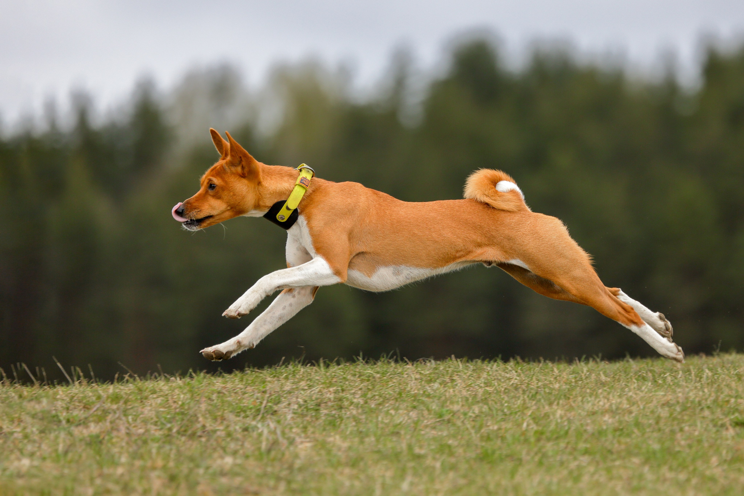 Lure Club май 2024. Irenephoto.ru