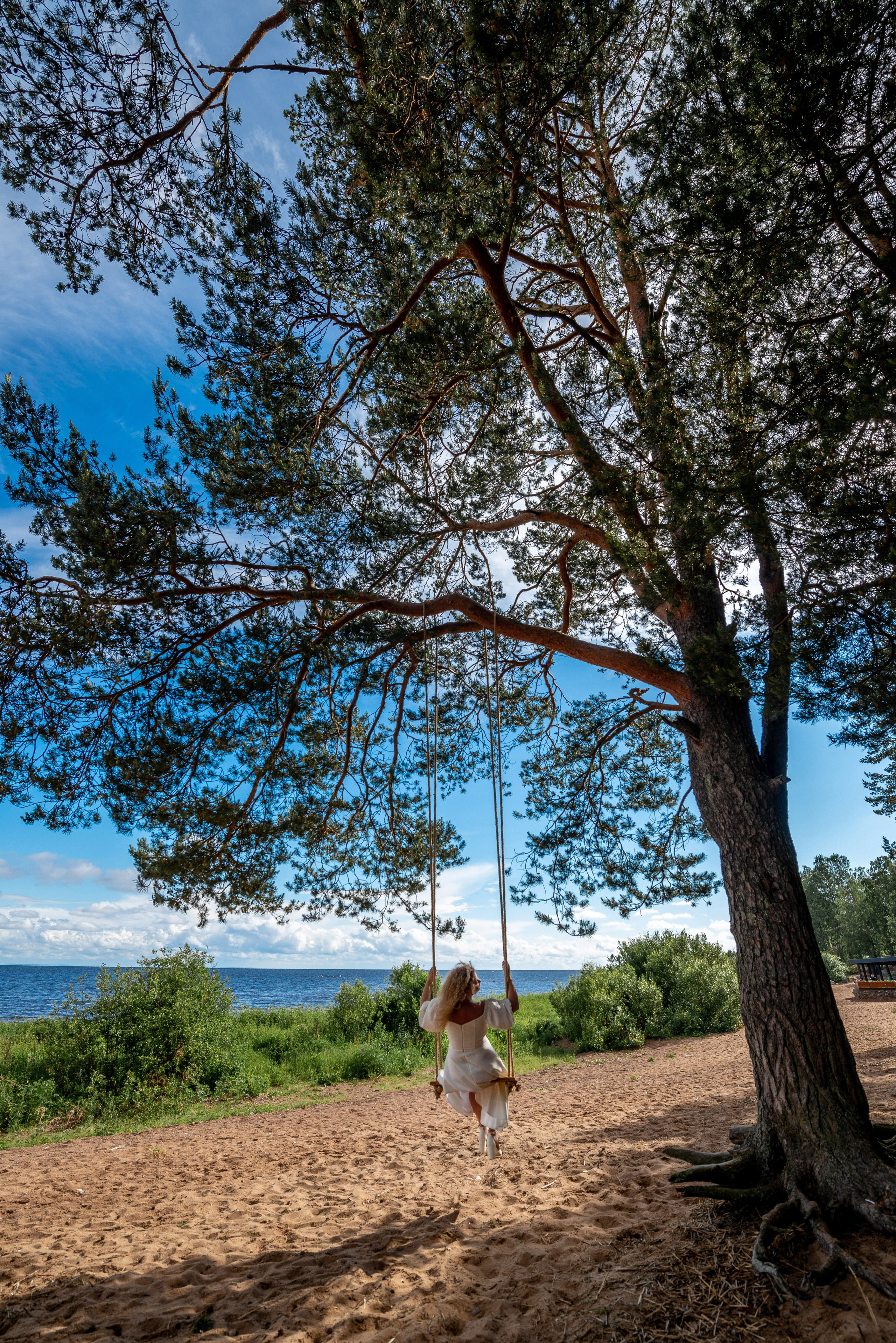 Станислав и Анастасия (нестандартная свадебная фотосессия в лесу и на Финском заливе). Портретный, семейный и свадебный фотограф в Санкт-Петербурге и в Пушкине Ширяев Денис