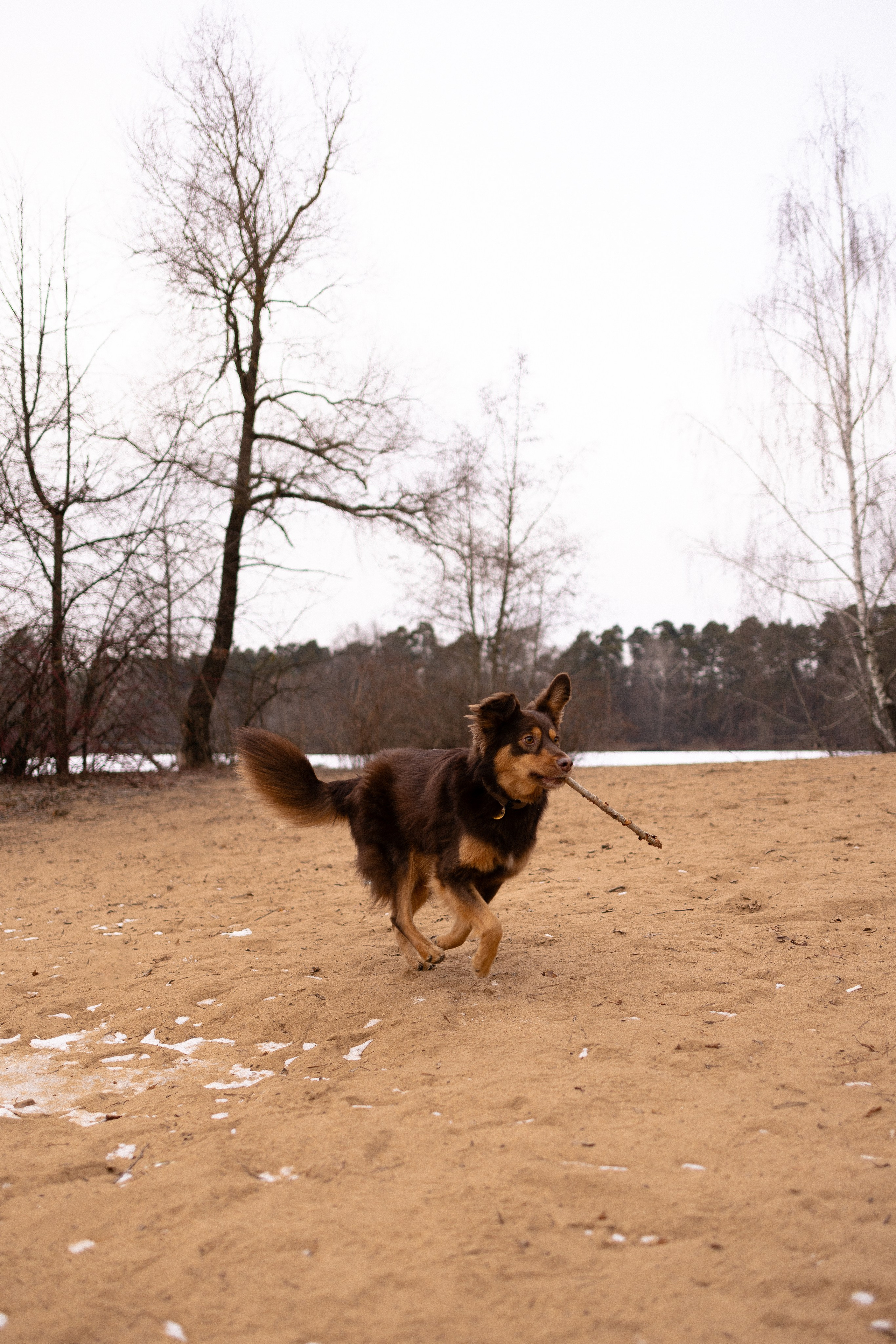 Катя и Мёд. Фотограф и видеограф анималист Аганина Дарья