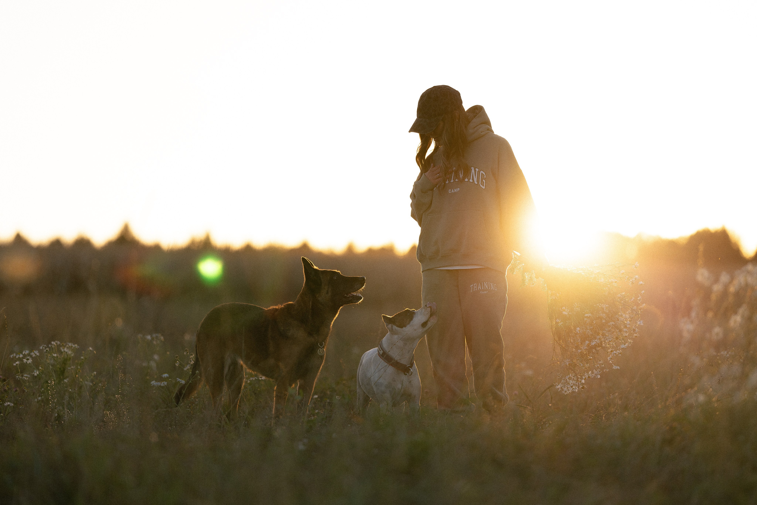 Женя, Афра и Молли. Фотограф и видеограф анималист Аганина Дарья
