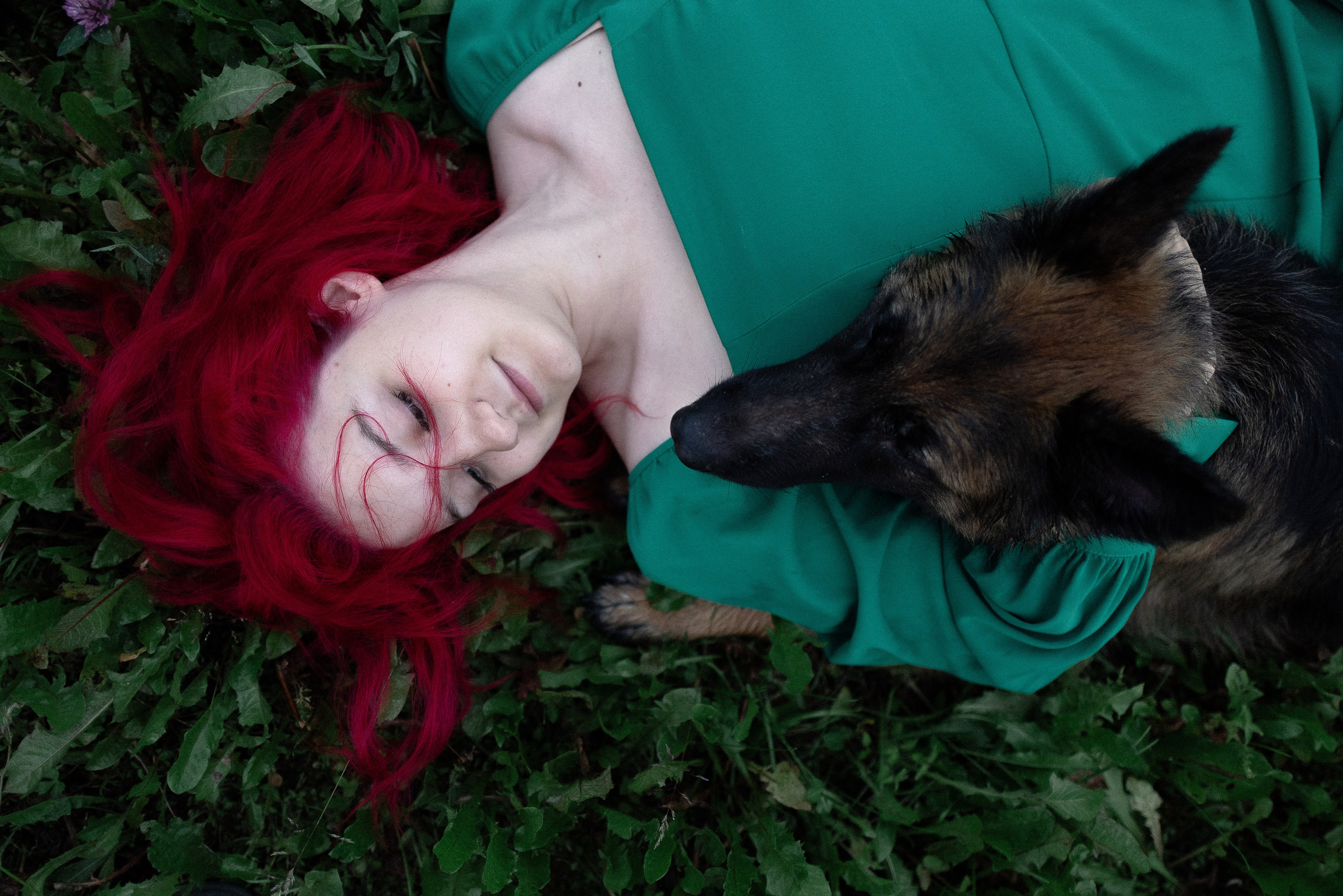 Алена, Фанни и Фрея. Фотограф и видеограф анималист Аганина Дарья