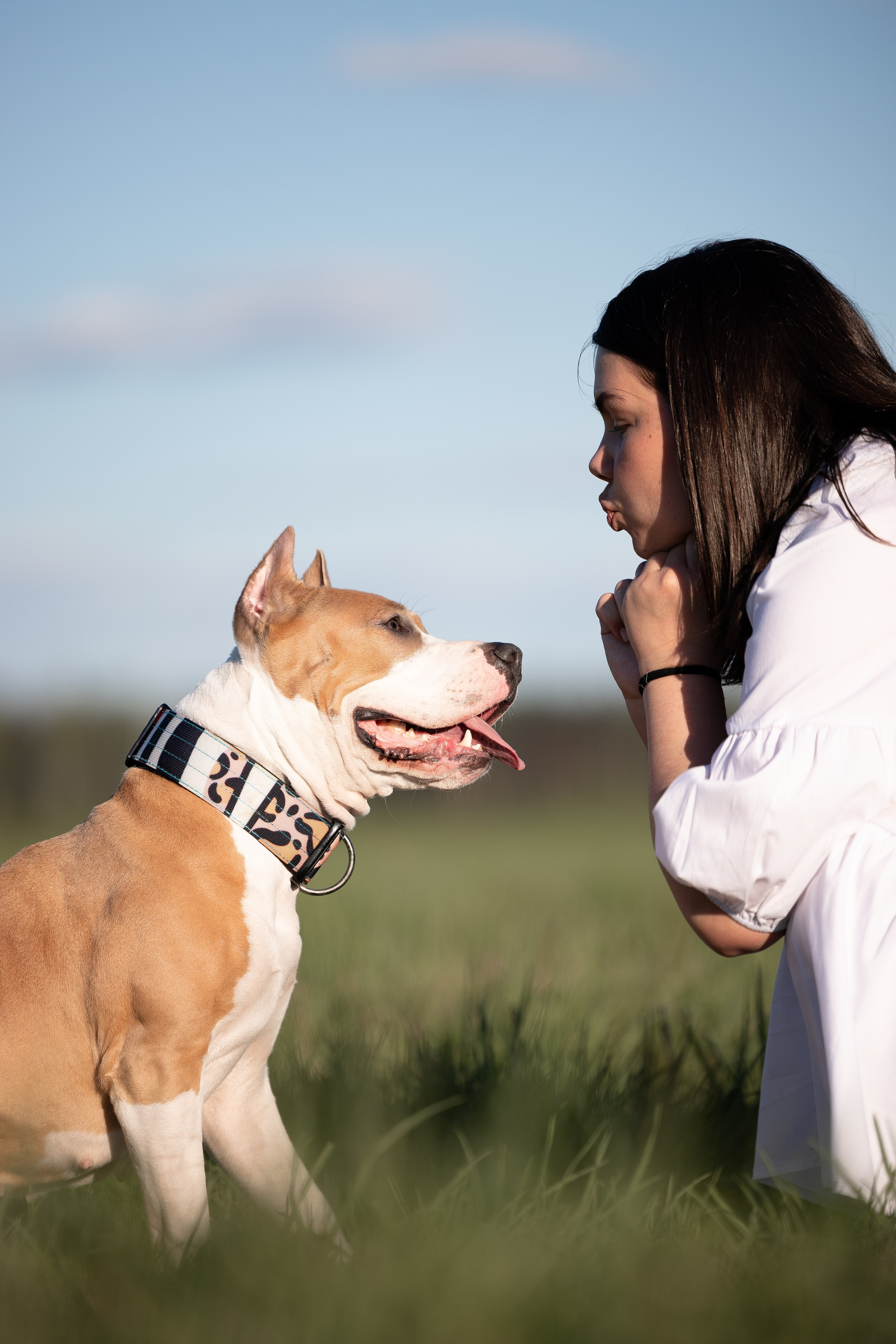 Шуня и ее семья. Фотограф и видеограф анималист Аганина Дарья