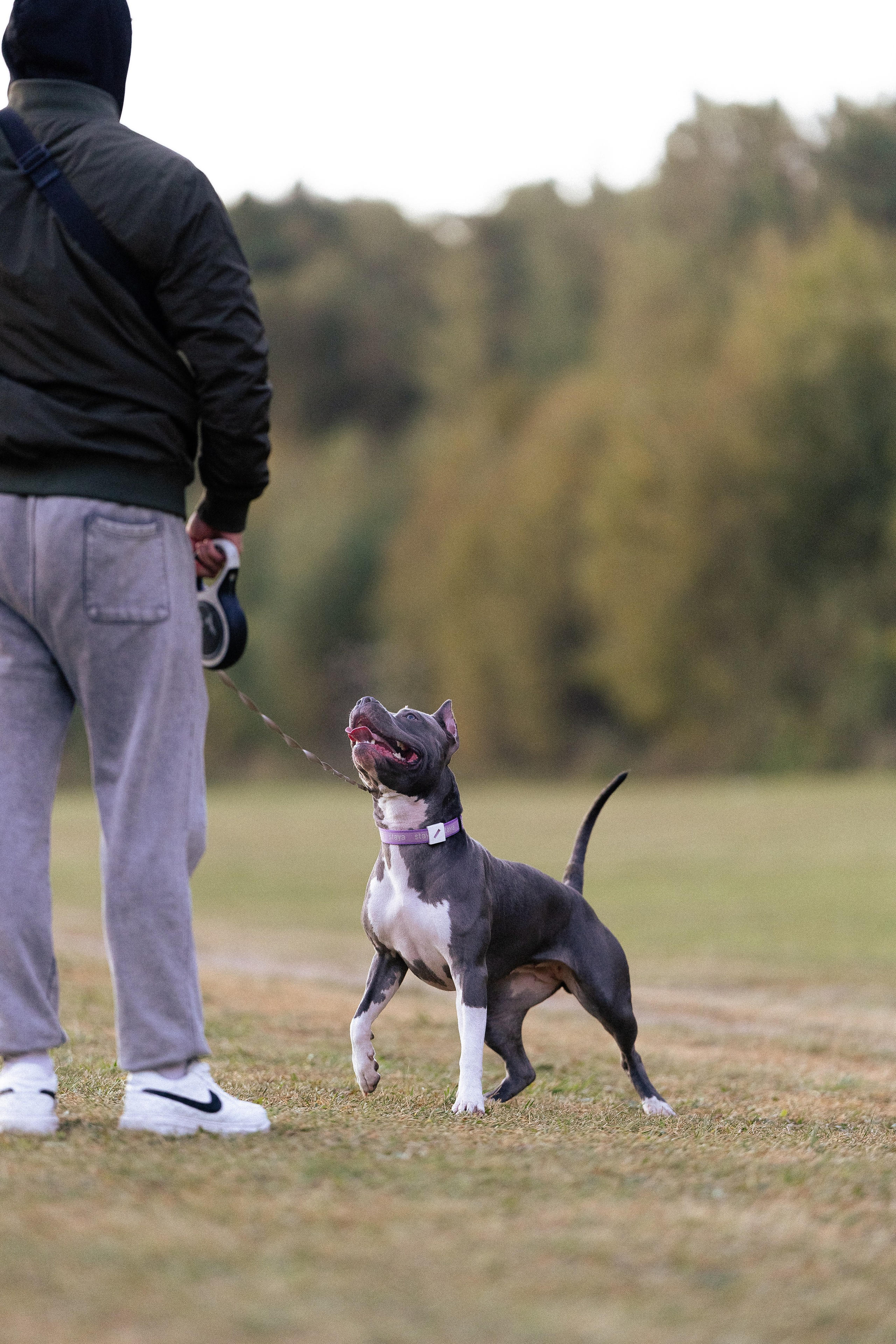 Катя, Леша, Лея и Трой. Фотограф и видеограф анималист Аганина Дарья