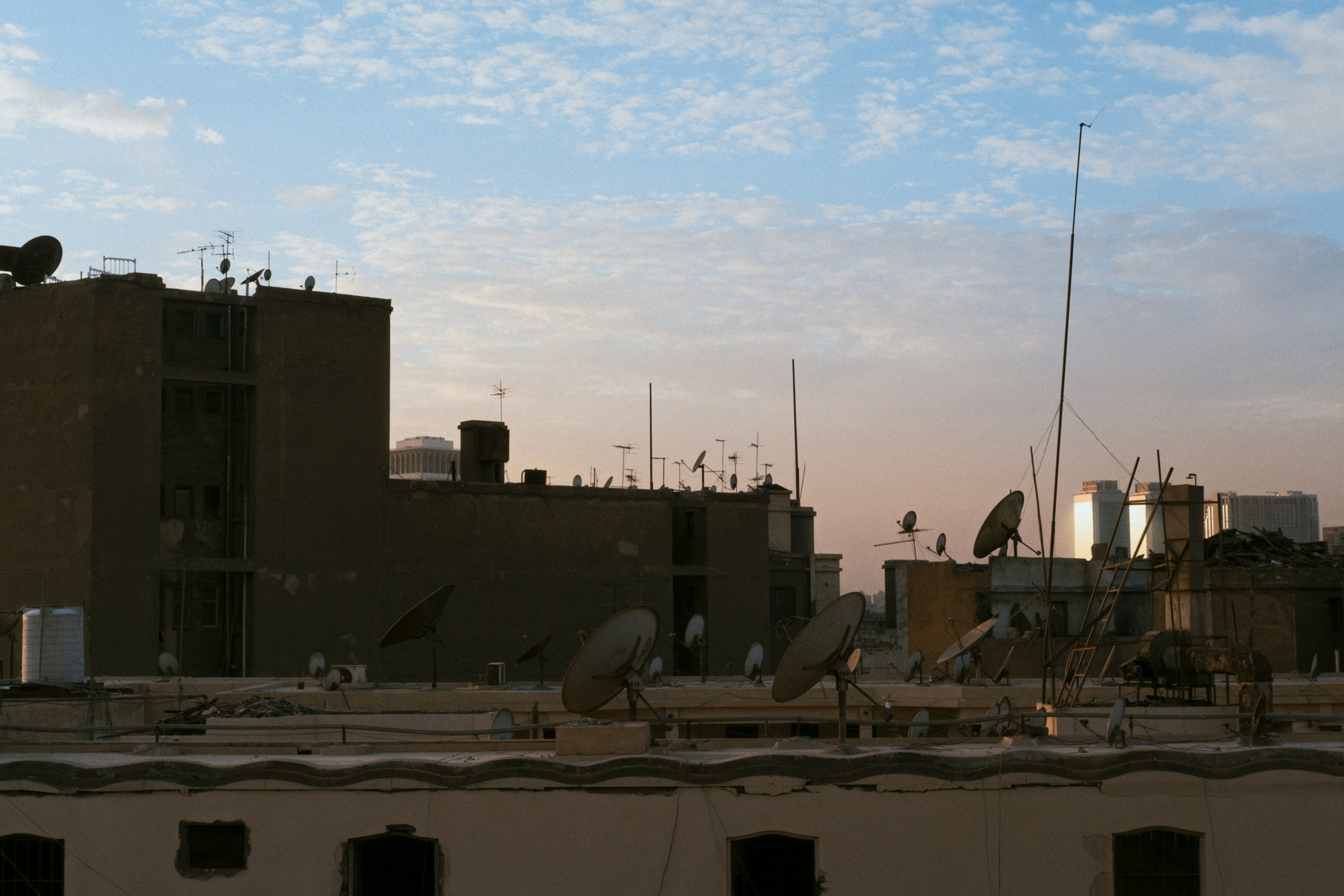 Cairo / Egypt AW25. Фотограф Юрин Евгений