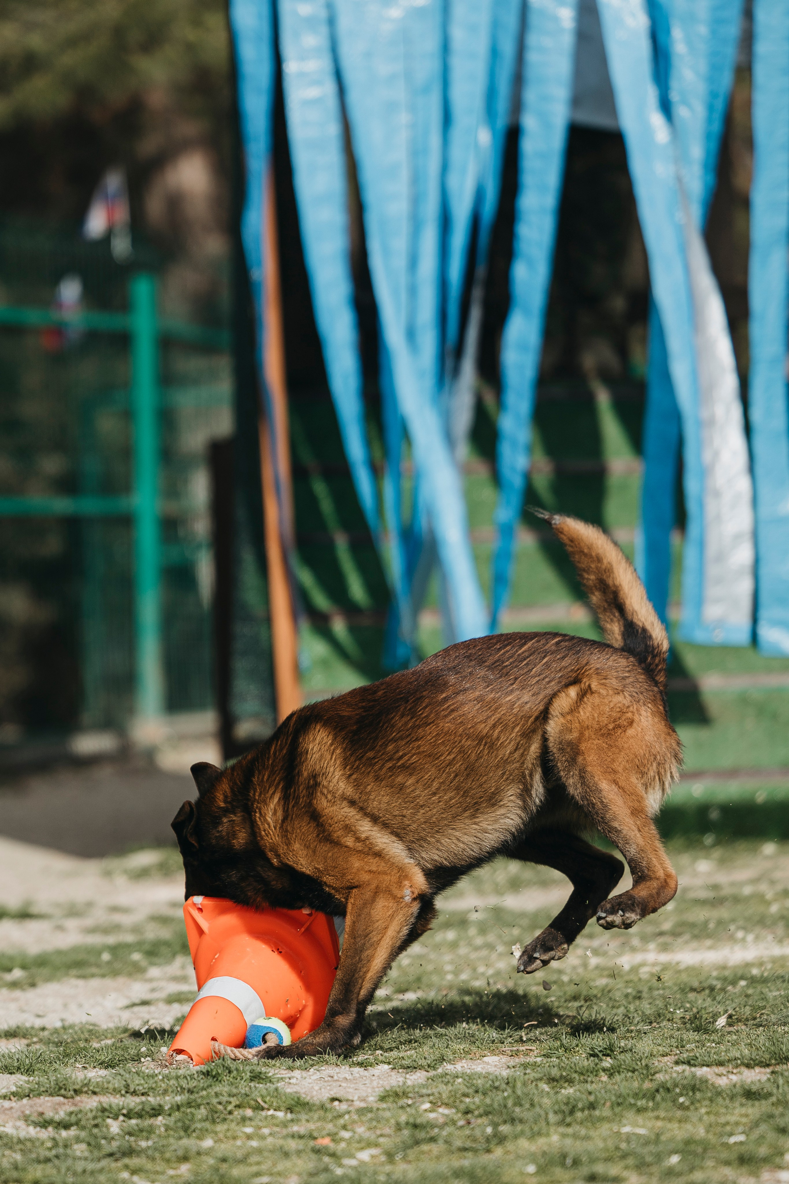 Геленджик Мондьоринг. Фотограф-анималист Анна Маринич