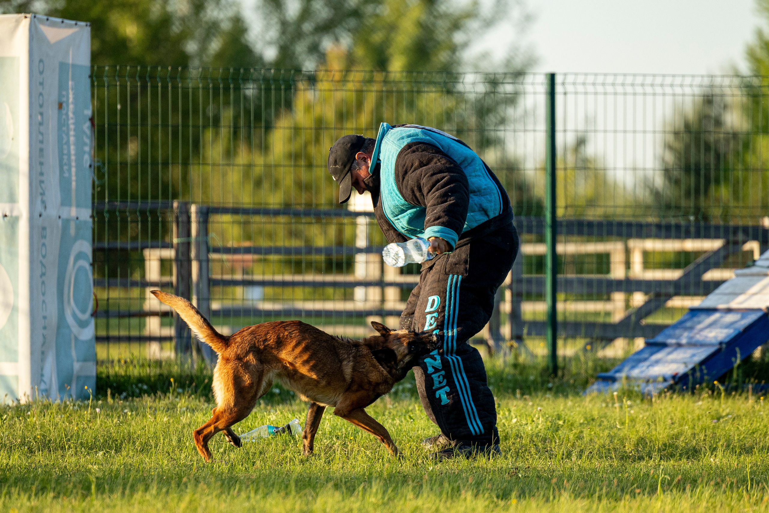 Испытания по мондьорингу в Нижнем Новгороде. Фотограф-анималист Анна Маринич