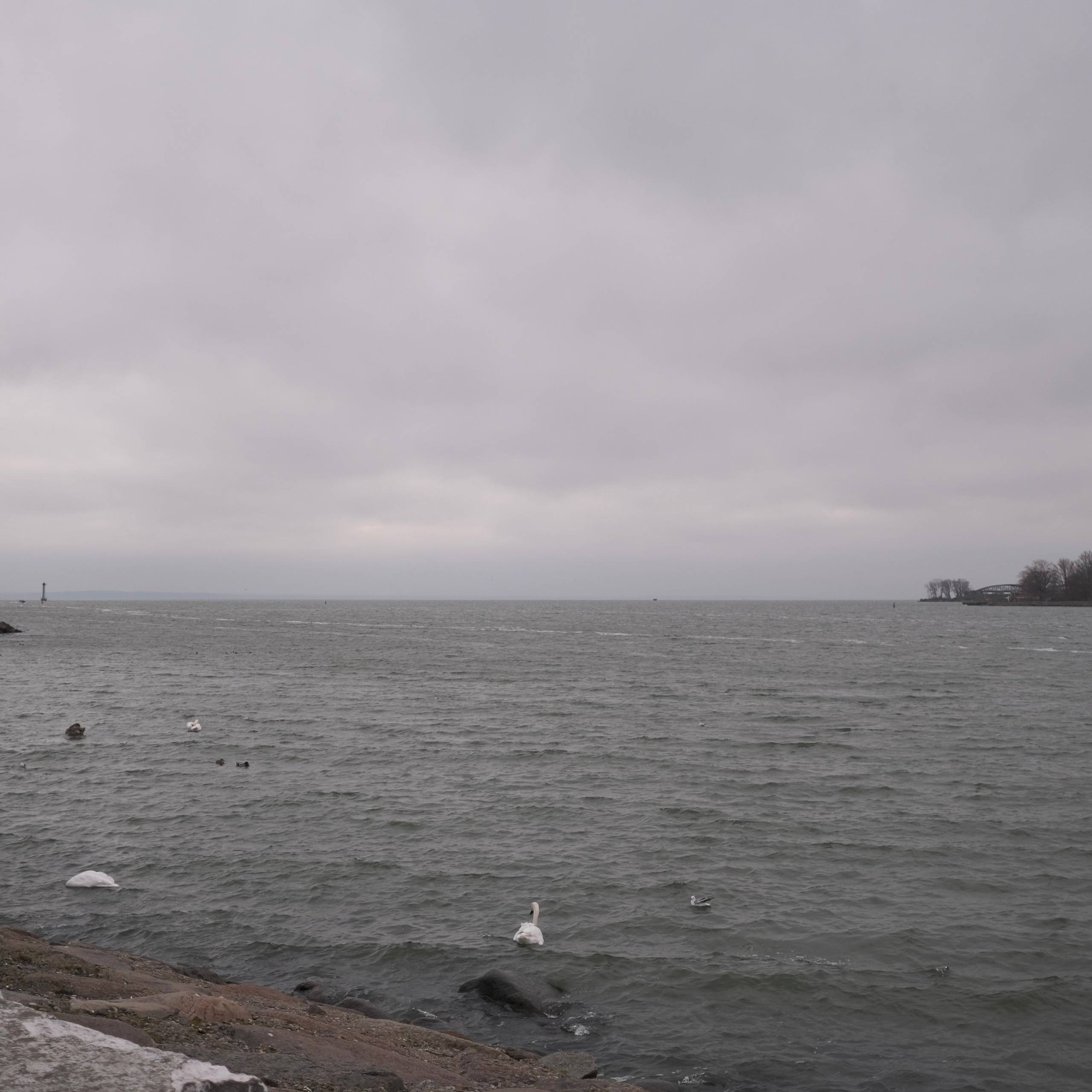 Калининград. LIYALEE PHOTO