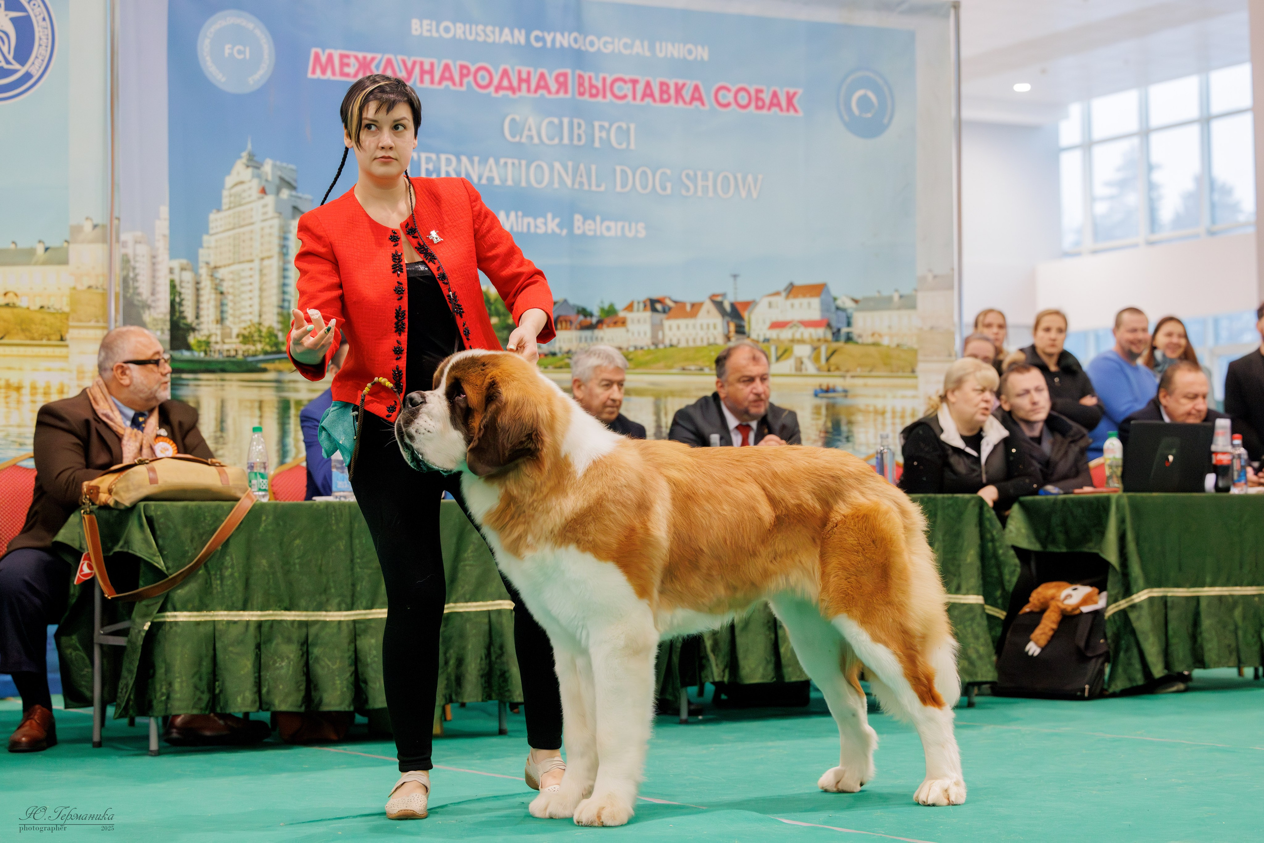 Минск 1-2.03.2025. Фотограф-анималист Юлия Германика
