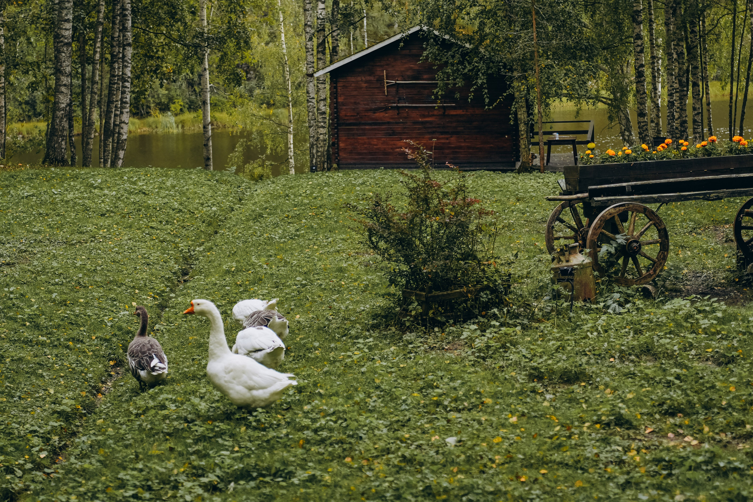 СЕВЕР. Event фотограф Степанова Александра