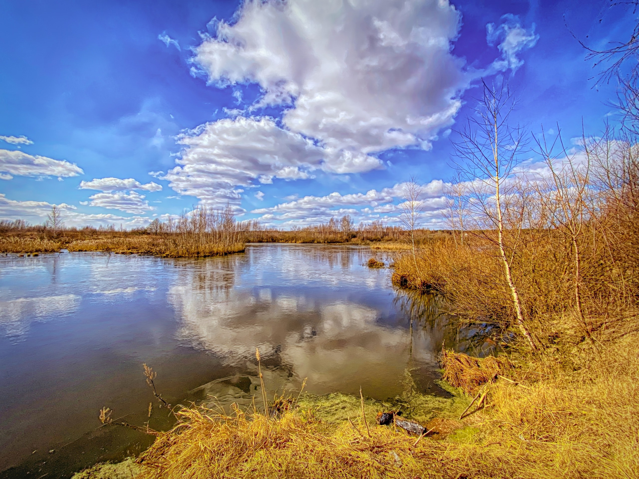 ПРИРОДА. Слепки времени. Фотографии природы и событий. Москва. Сергей Аллагулов