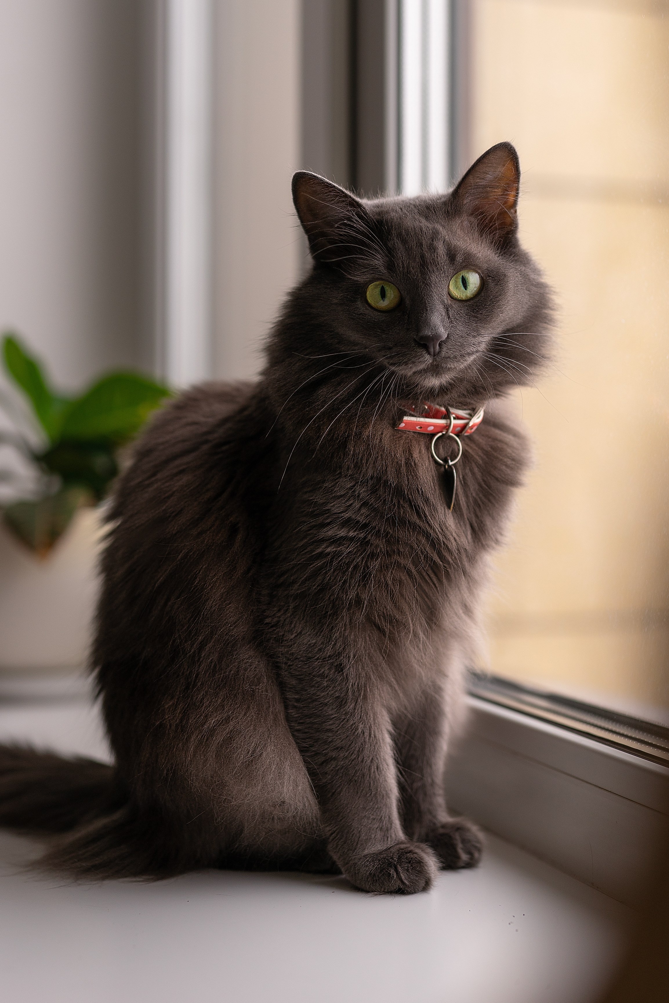 Семейные. Твой фотограф в Москве