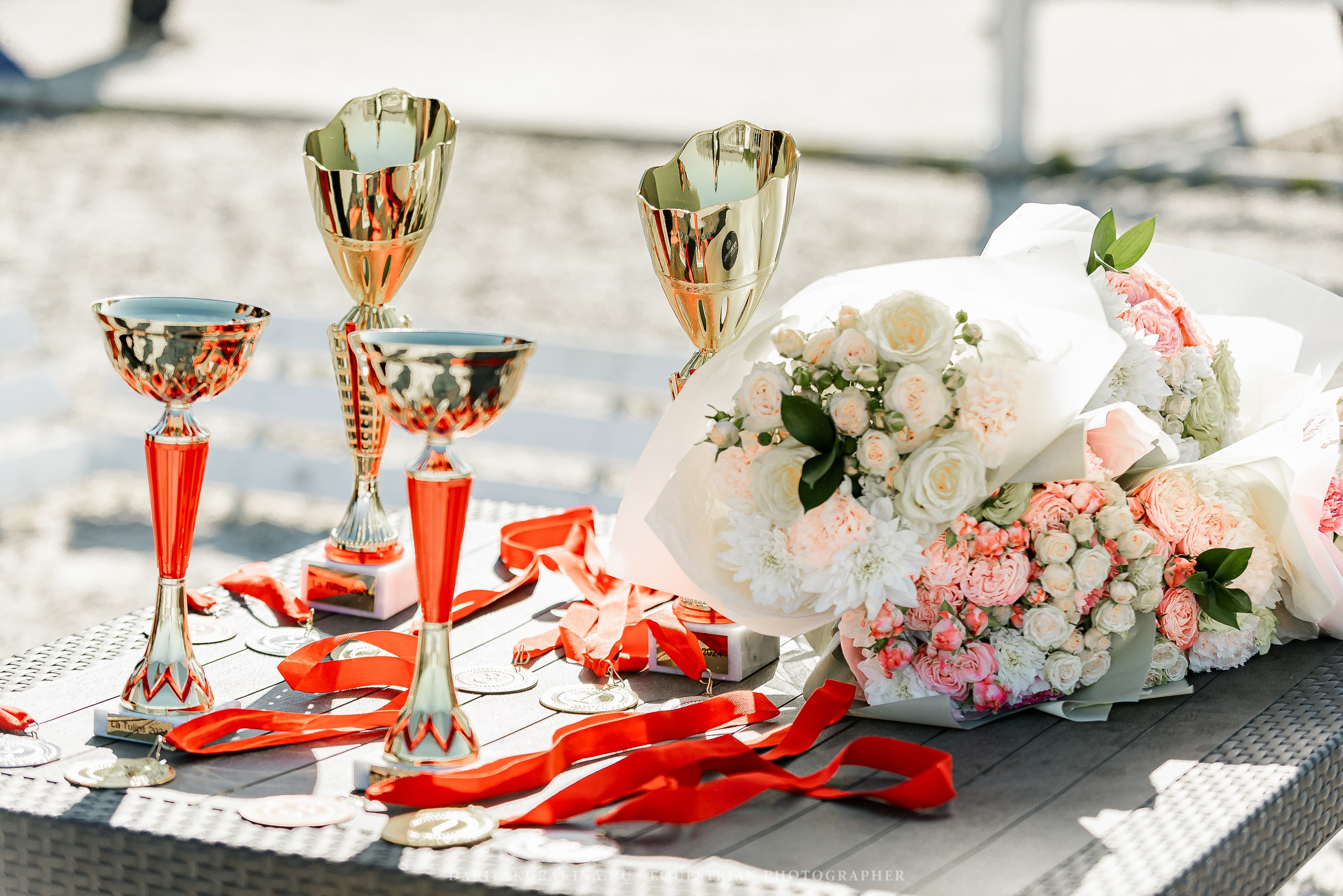 РЕПОРТАЖ МКК ВОЛЬТ «LA TULIPS». Конный фотограф Куракина Дарья • Фотосессии с лошадьми