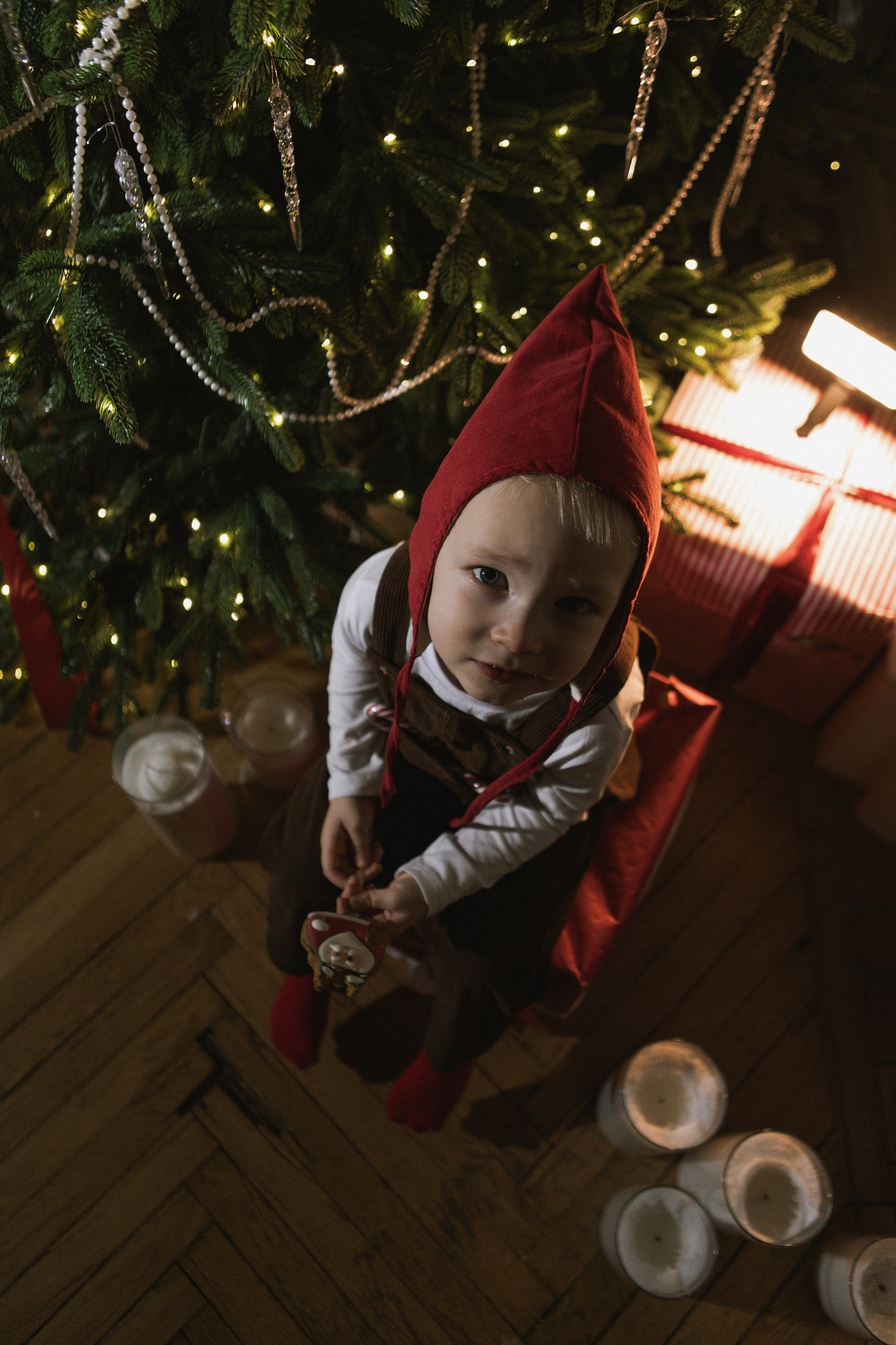 Рождественский гном. Фотограф в Москве Таша Логинова