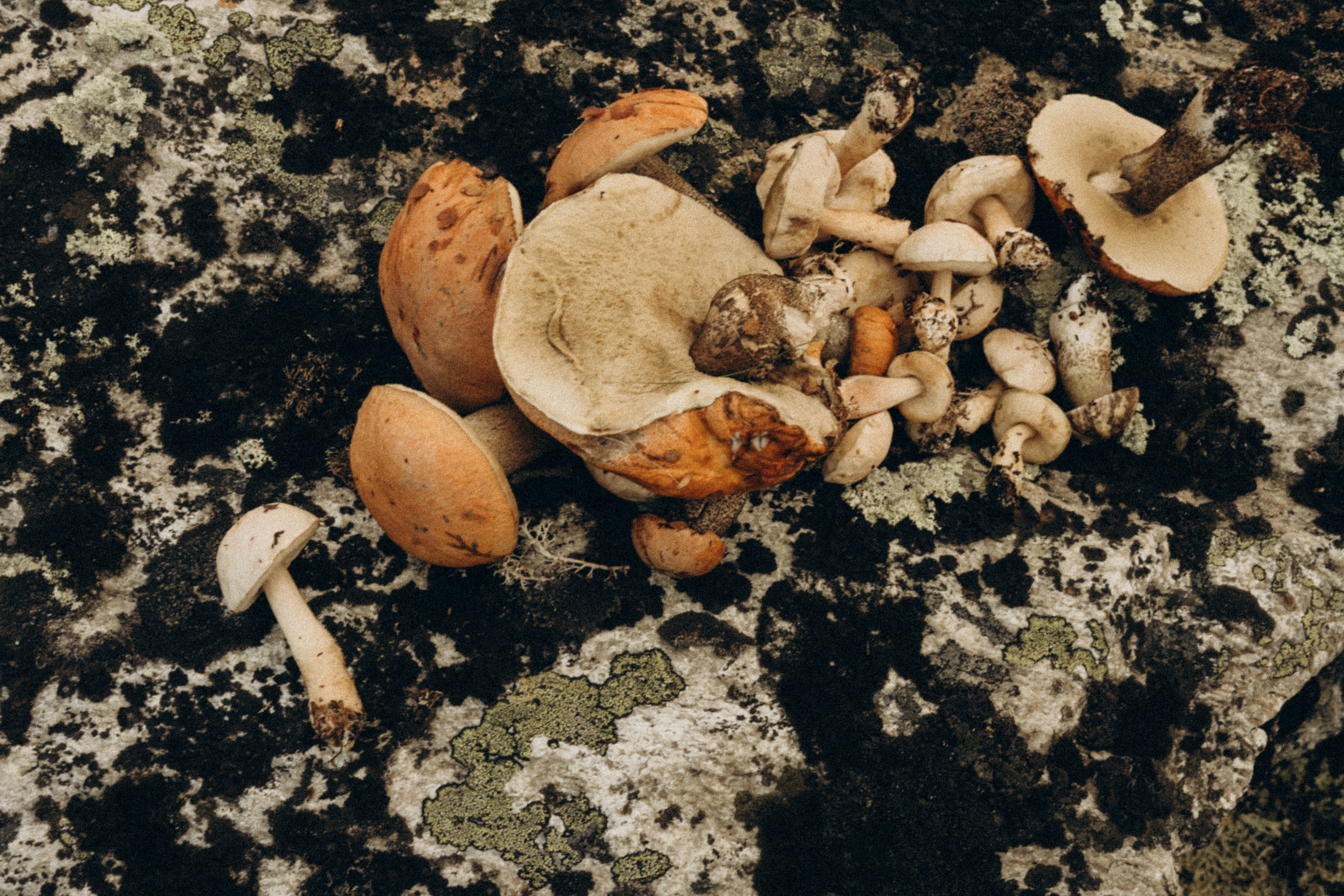 Самолетик в тундру. Семейный фотограф в Мурманске Екатерина Юшкова