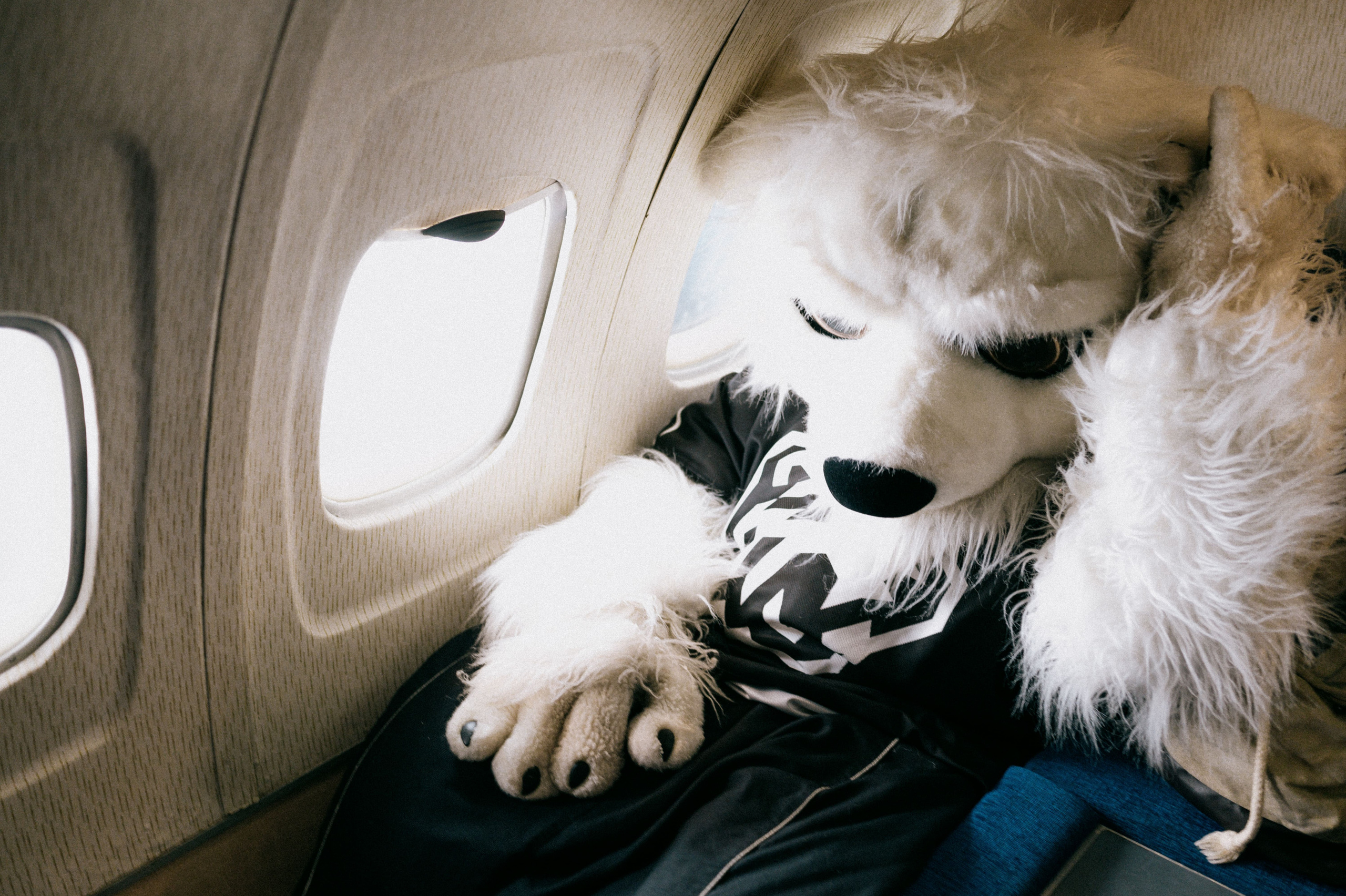 ХК Трактор к окончанию сезона 2021/2022. Медиапродакшн Ruvision — wow-презентация вашего бизнеса