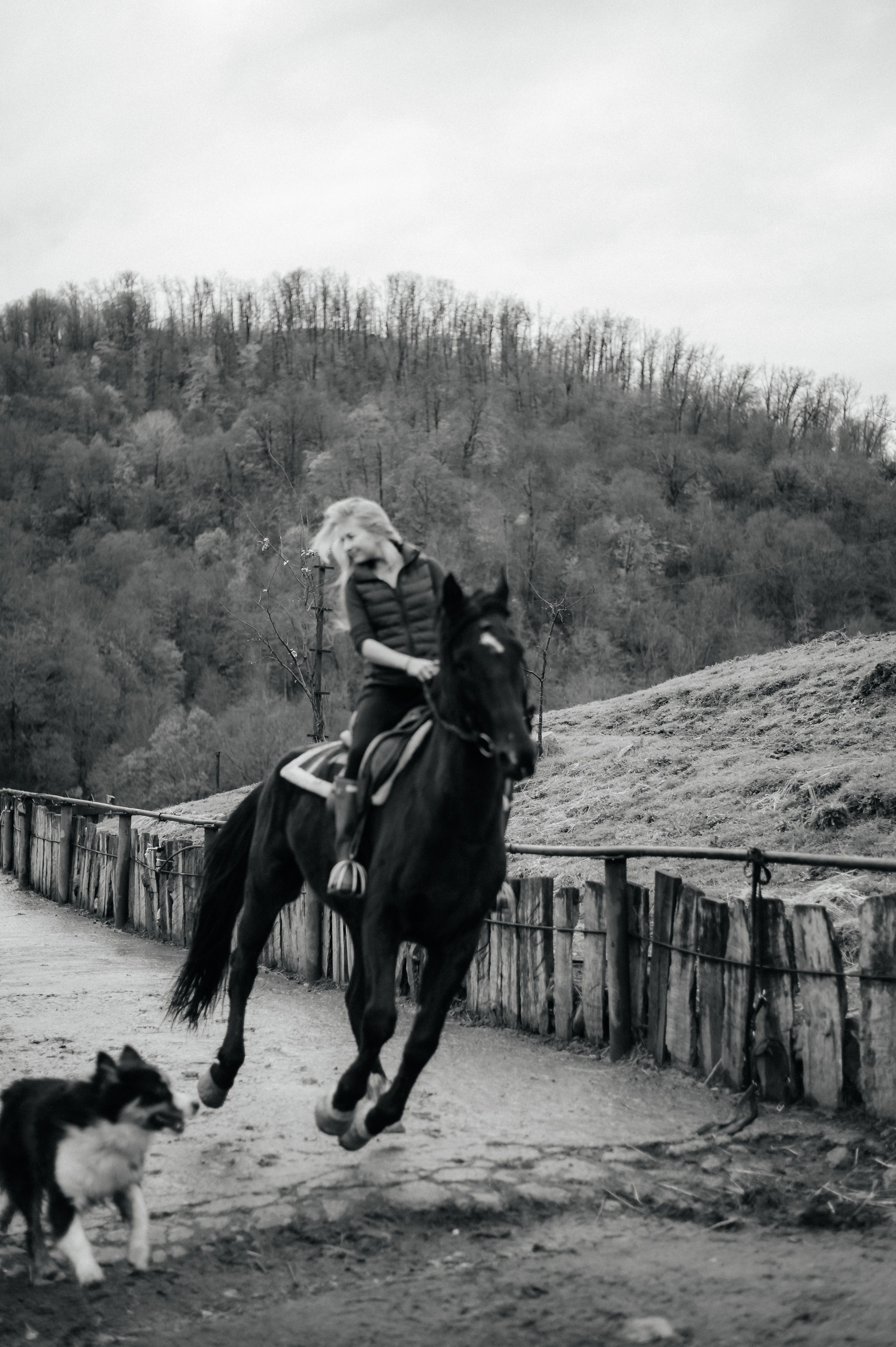 Из Швейцарии на конюшню в Сочи. Фотограф Сергей Суслов | Сочи
