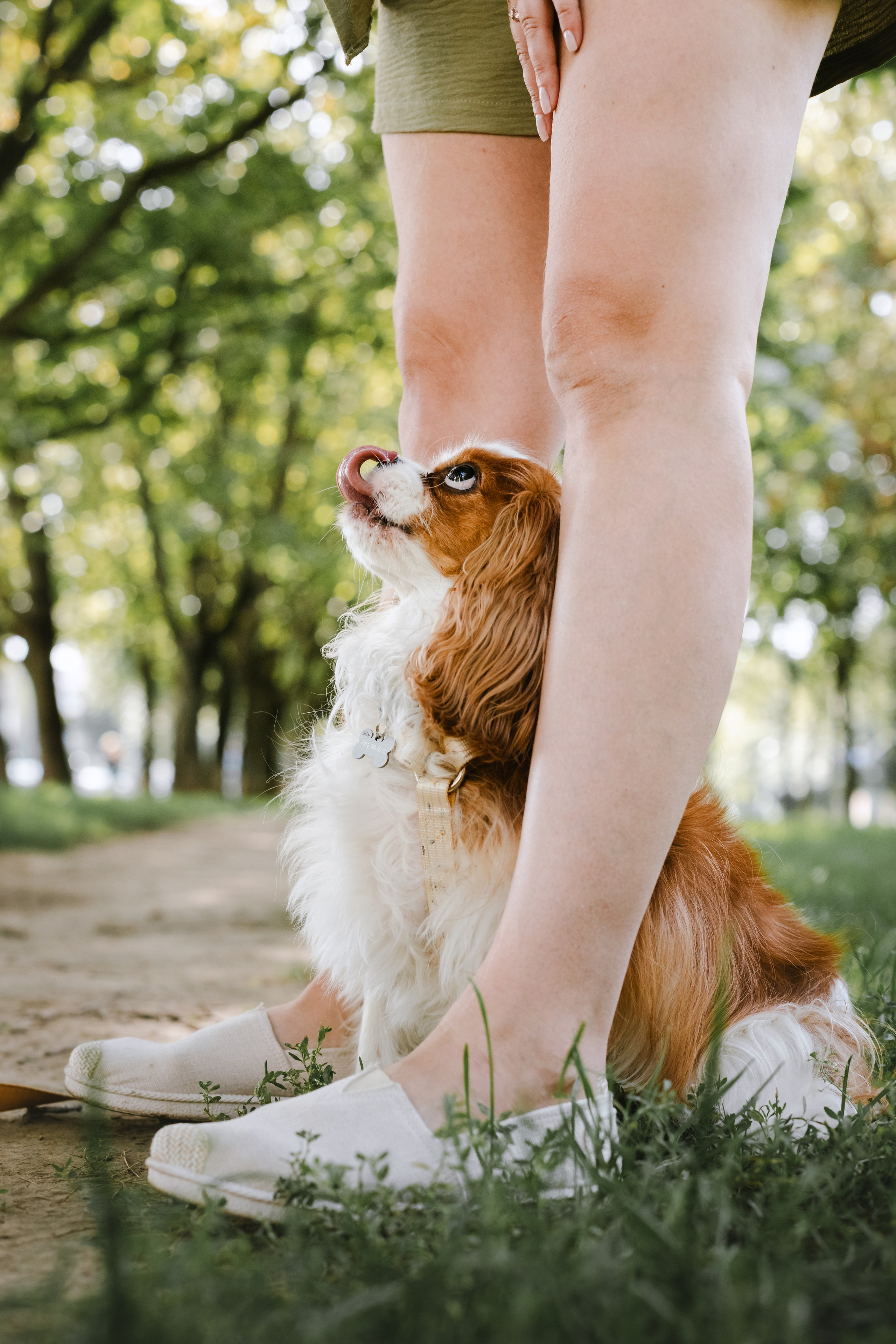 Фотопрогулка на бульваре. Фотограф-анималист Татьяна Степанова