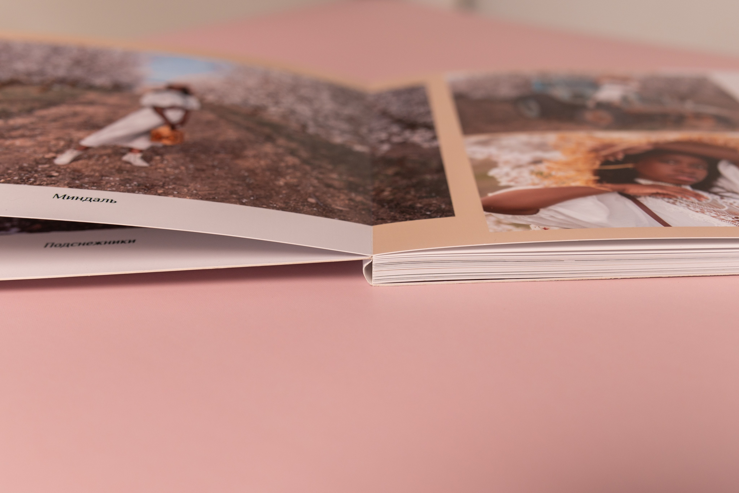 Разработка фотокниги в Севастополе, Ялте, Симферополе, Евпатории. Семейный фотограф в Севастополе и Крыму Александра Погребняк